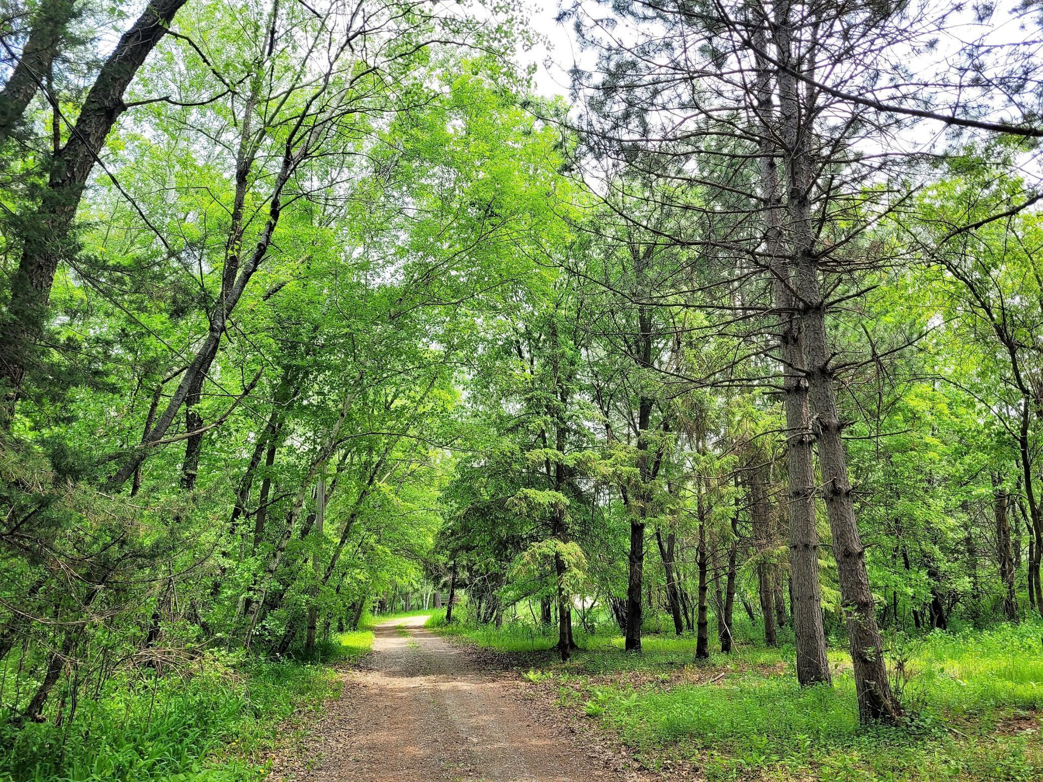 16845 W Iverson Street NE