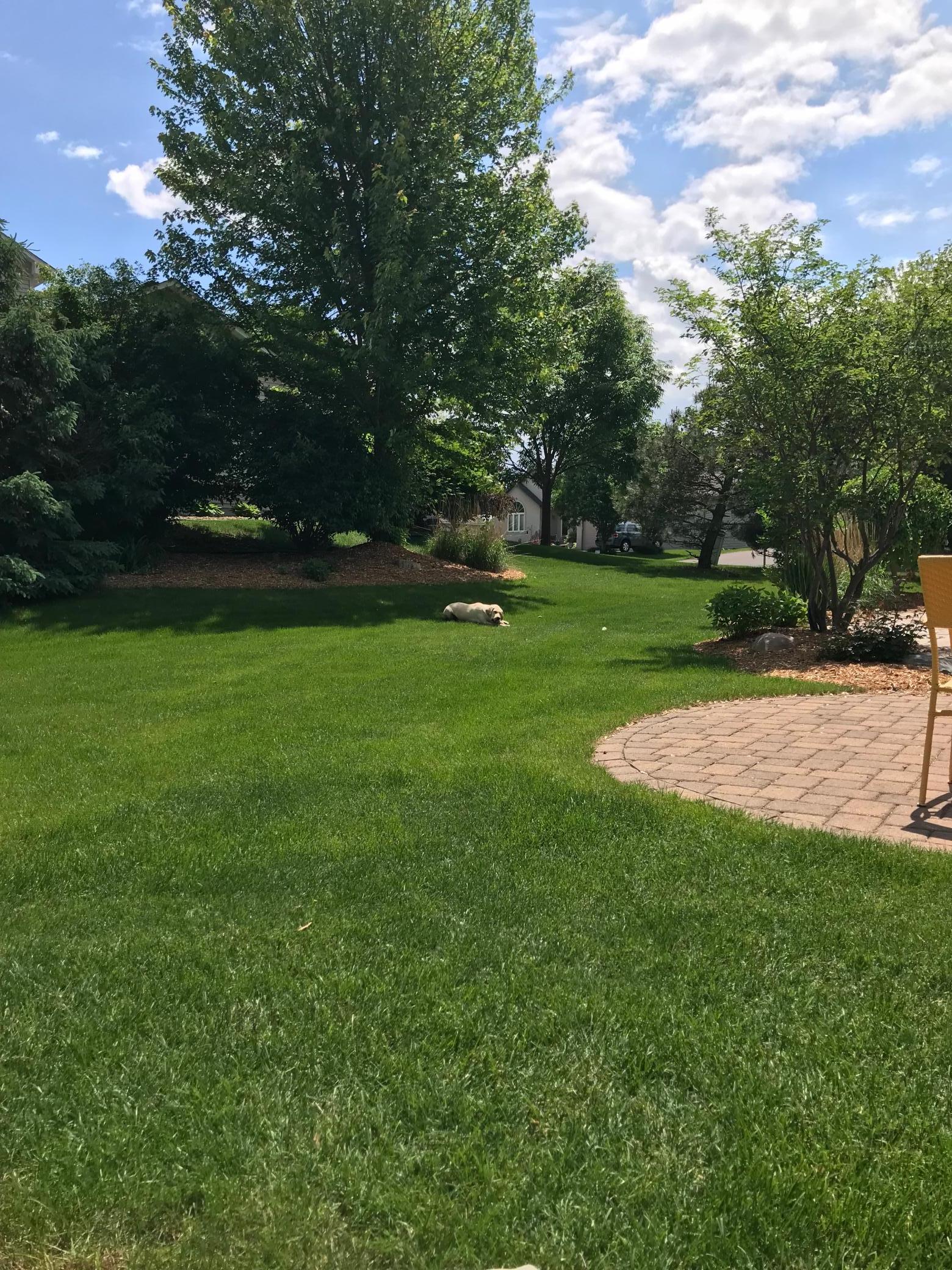 10163 Bald Eagle Trail