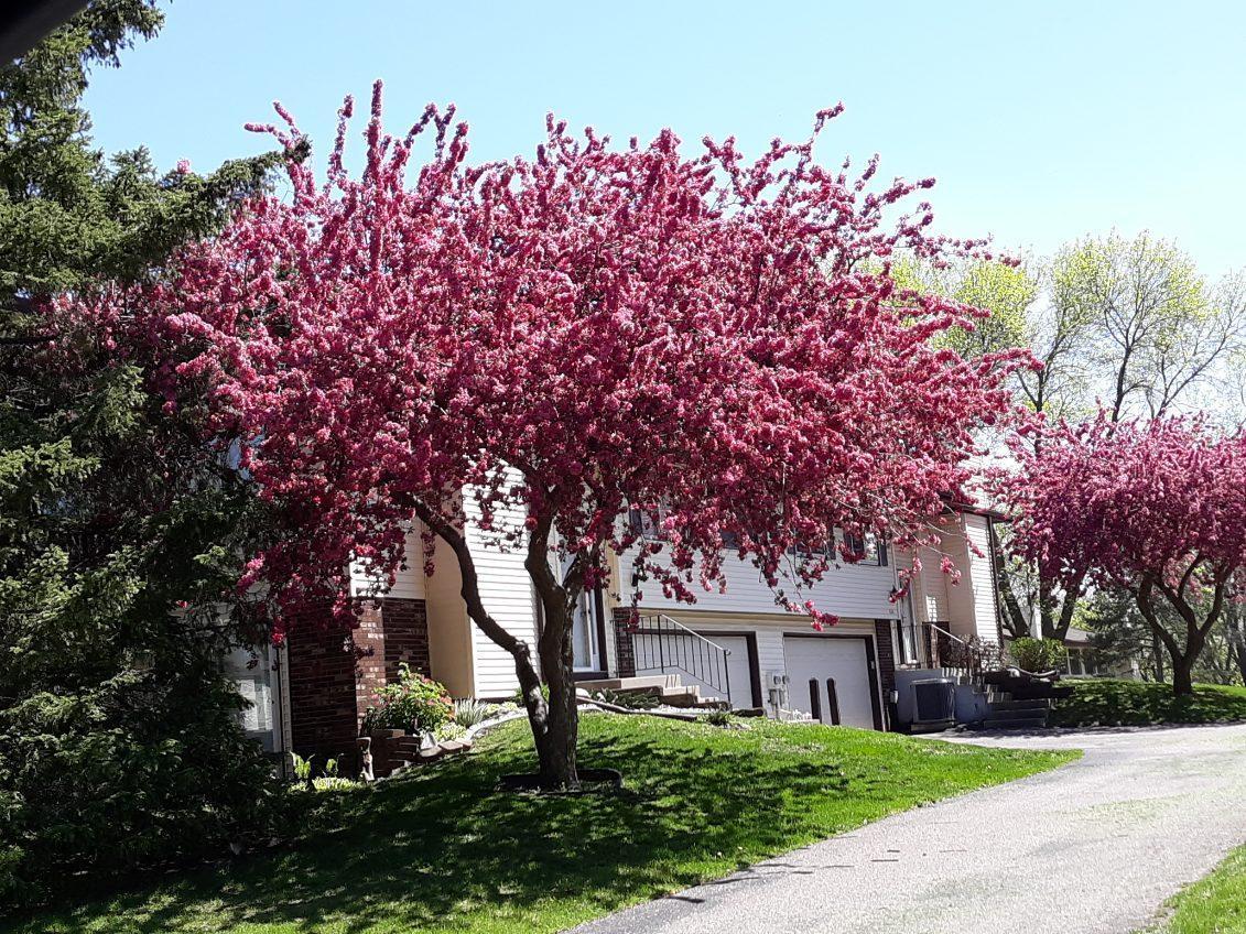 932 Heritage Court W