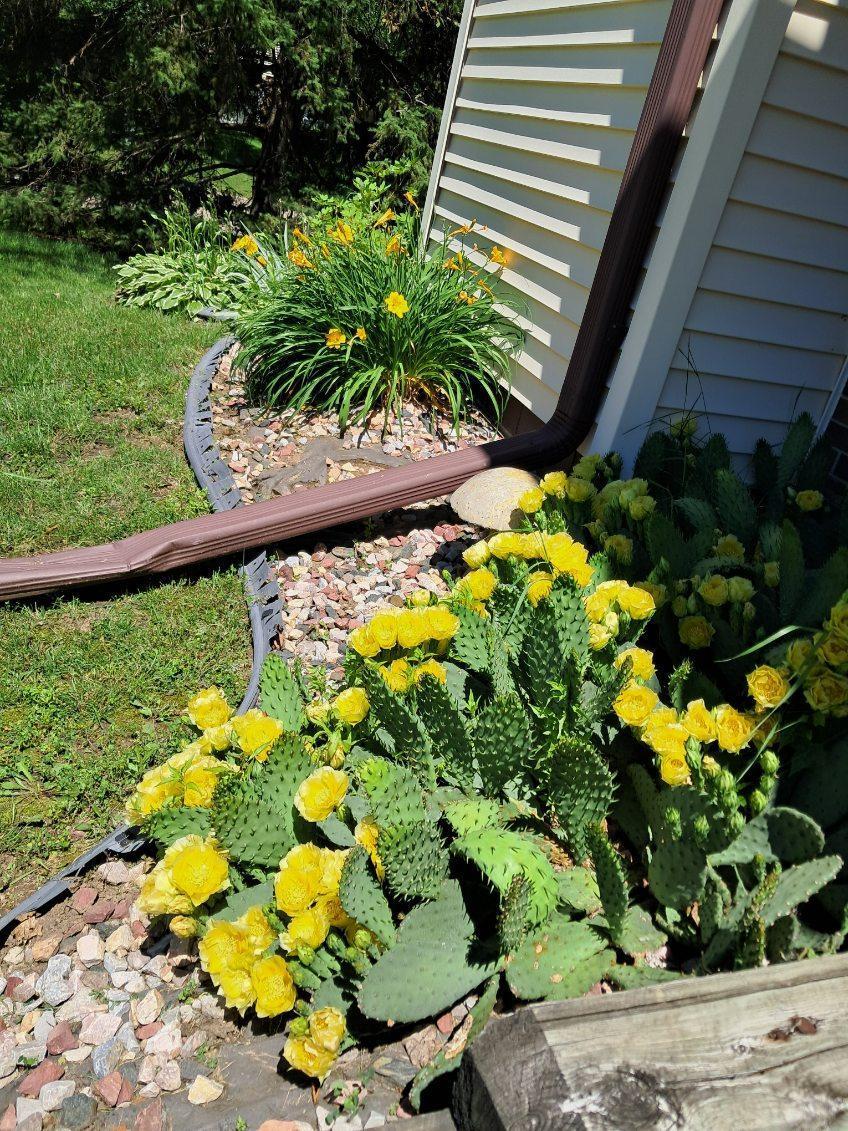 932 Heritage Court W