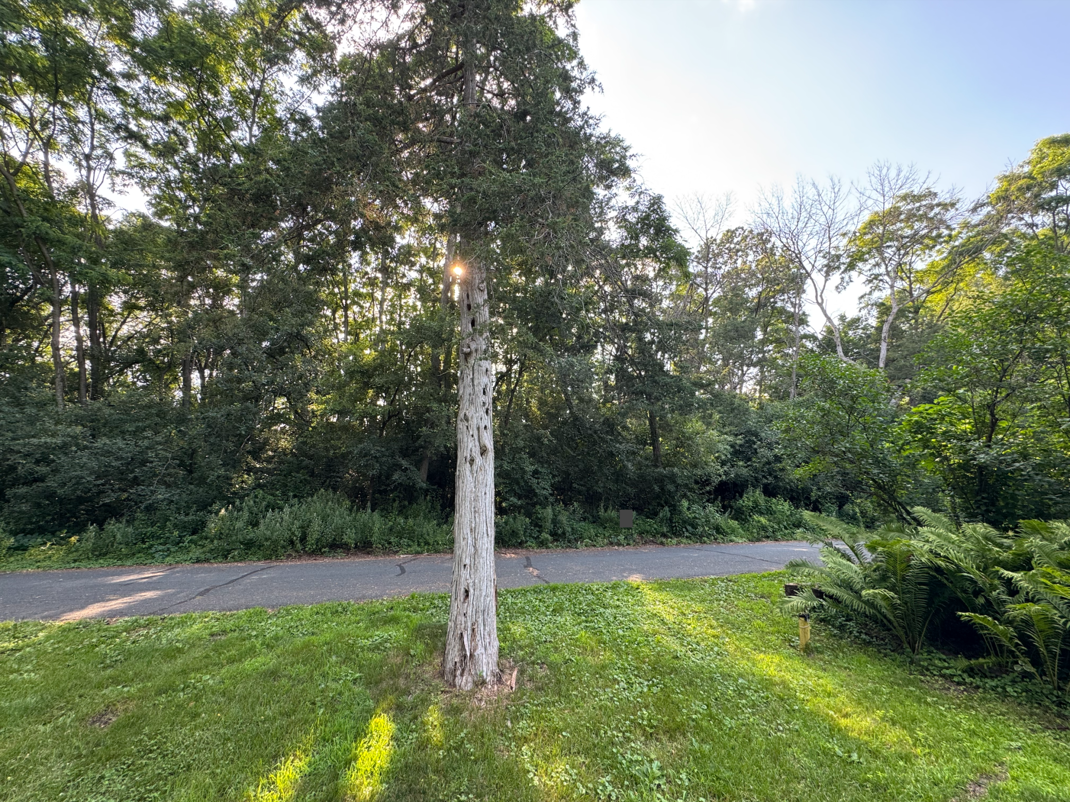 0000 Quentin Avenue S