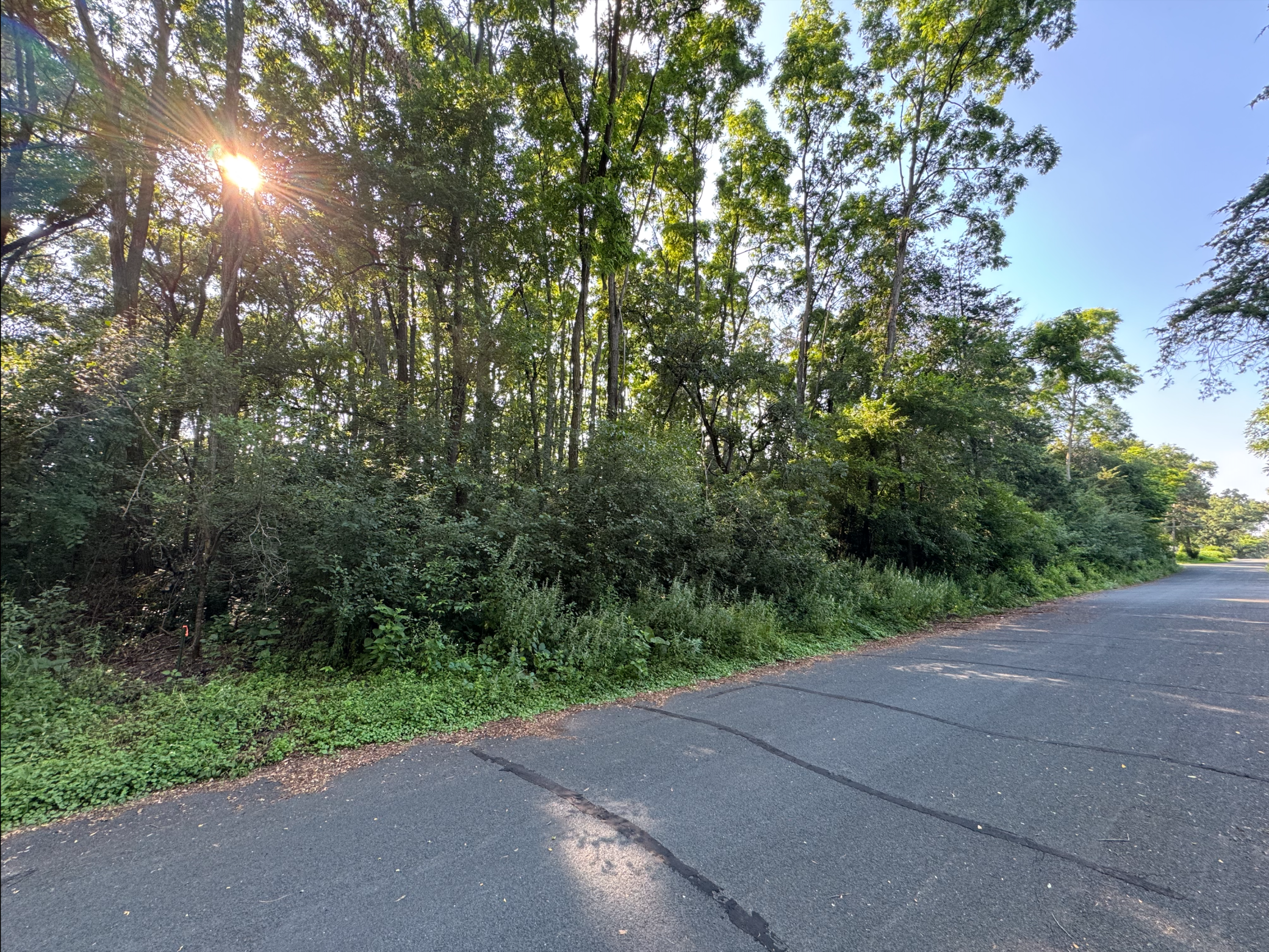 0000 Quentin Avenue S