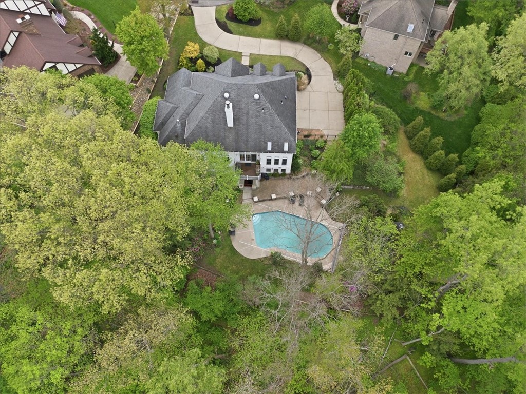 113 Pinehaven Ct