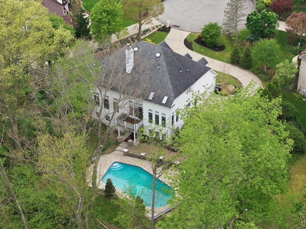 113 Pinehaven Ct