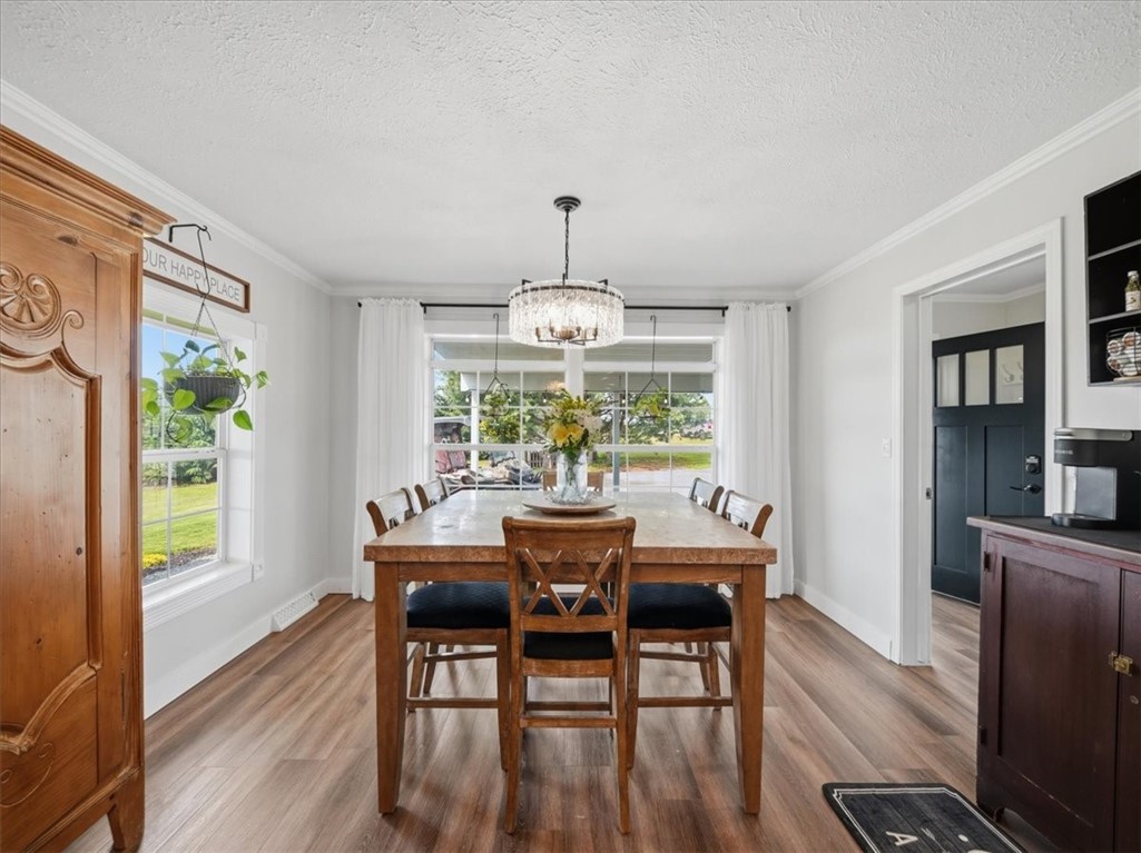 405 Forrest Hill Rd