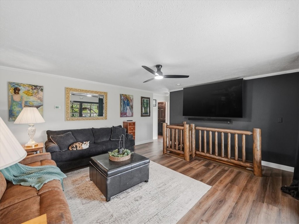 405 Forrest Hill Rd