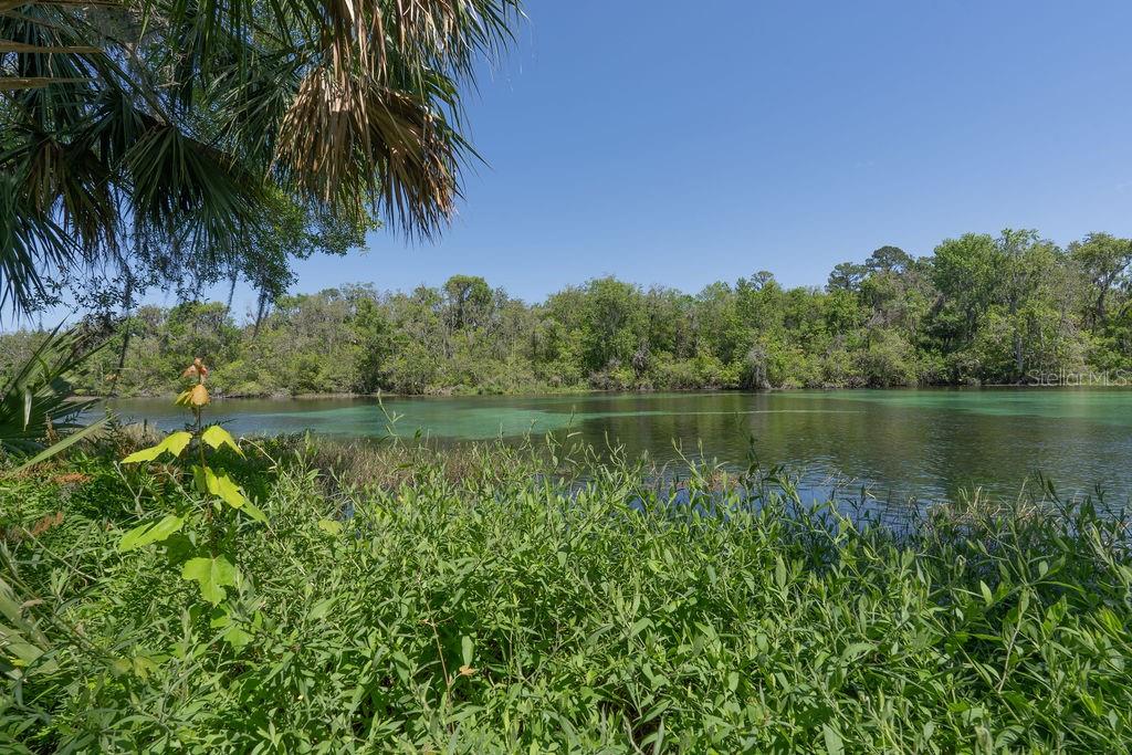 21939 SW 85TH LOOP