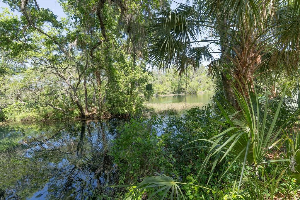 21939 SW 85TH LOOP