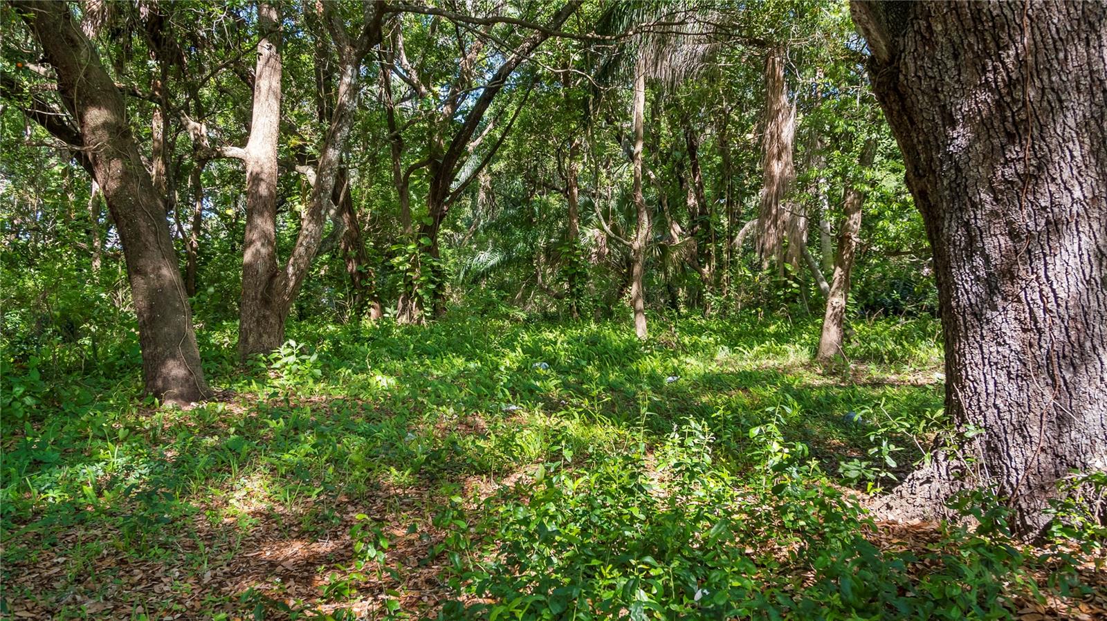 1500 N HOAGLAND BLVD