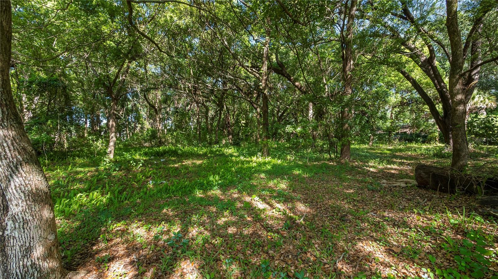 1500 N HOAGLAND BLVD