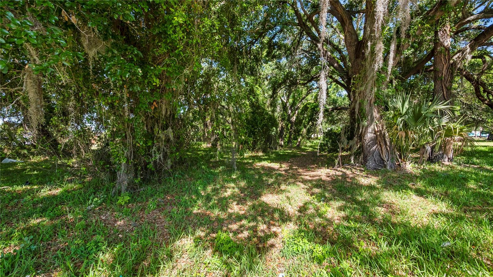 1500 N HOAGLAND BLVD