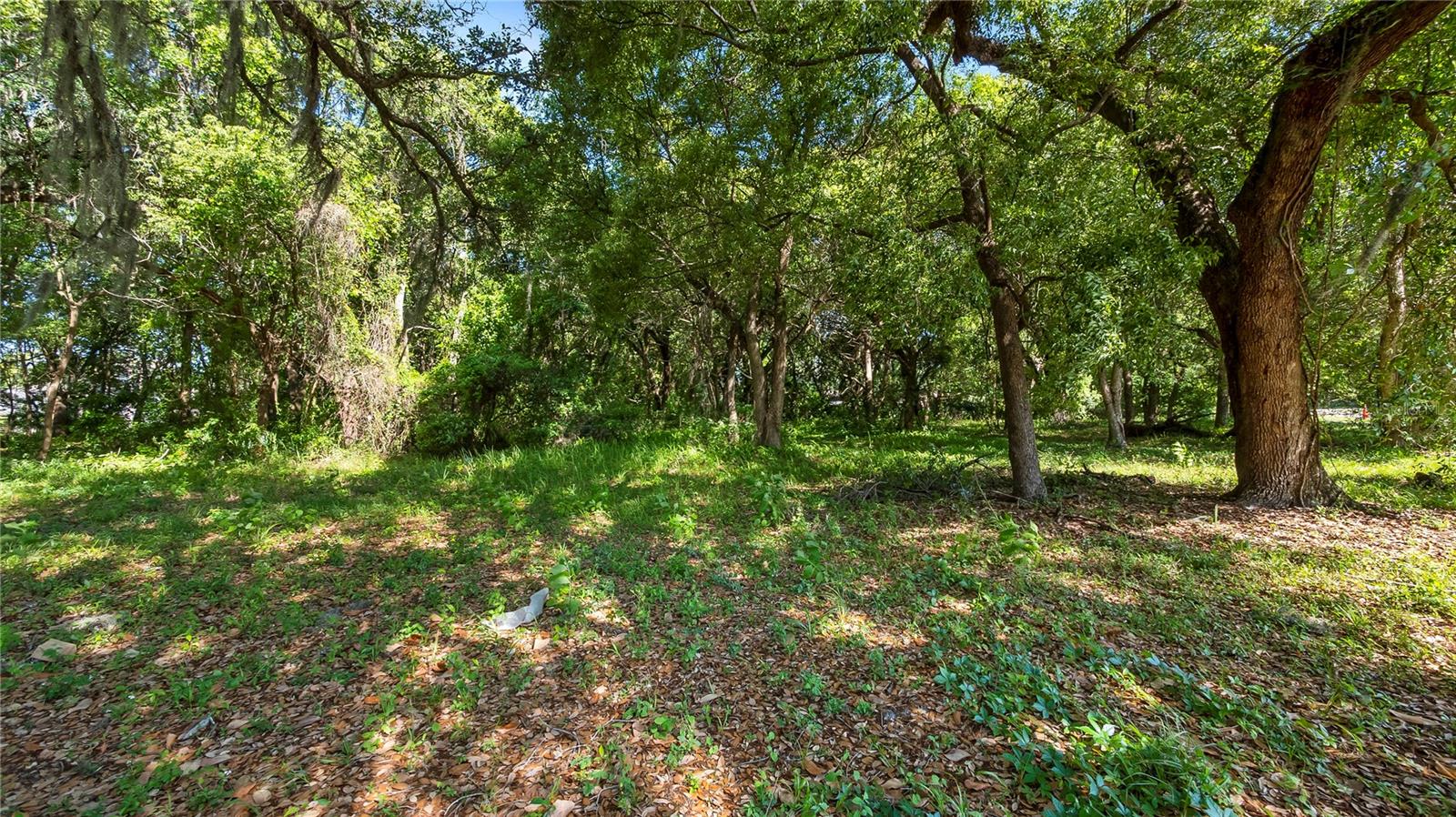 1500 N HOAGLAND BLVD