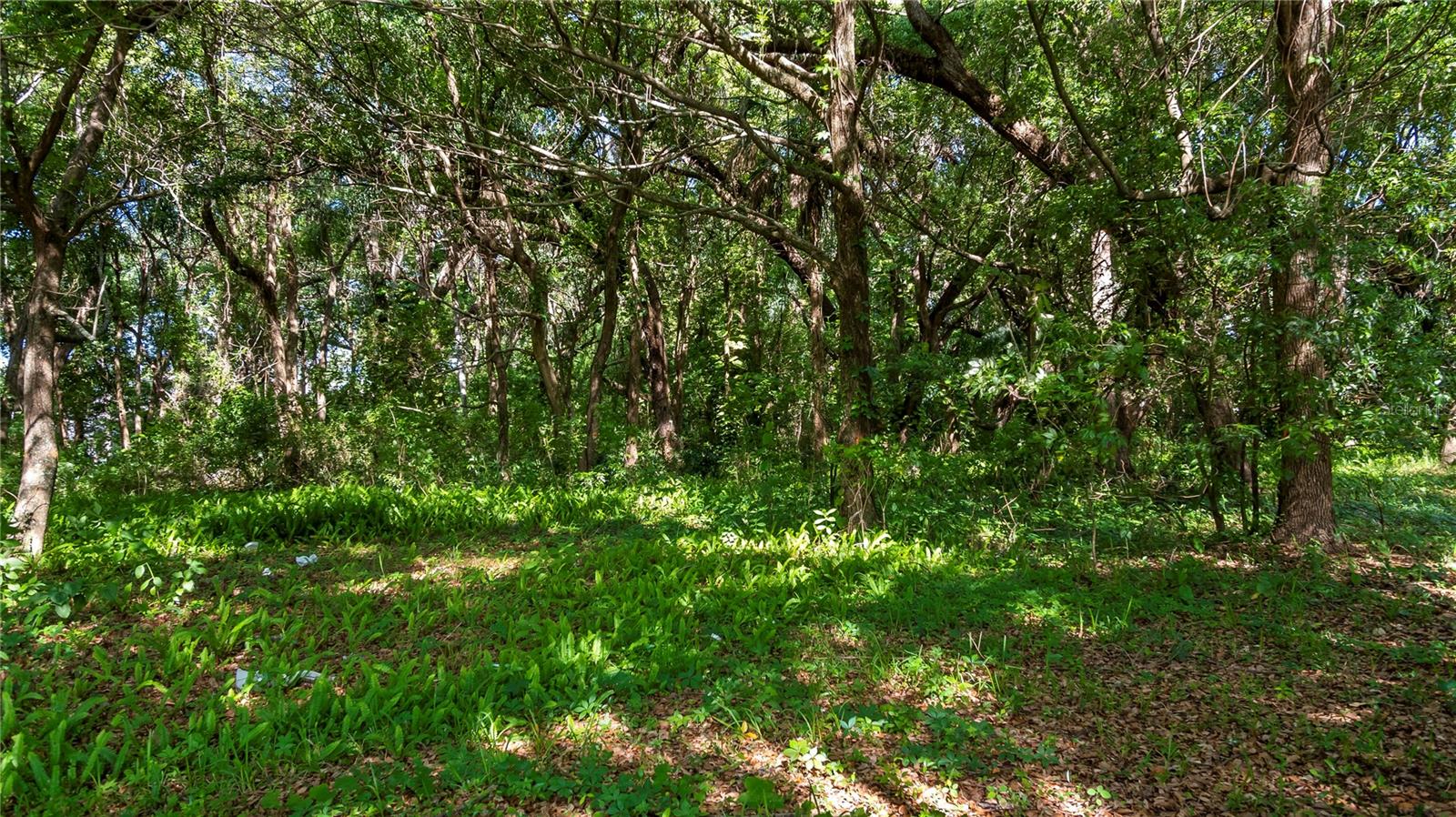 1500 N HOAGLAND BLVD