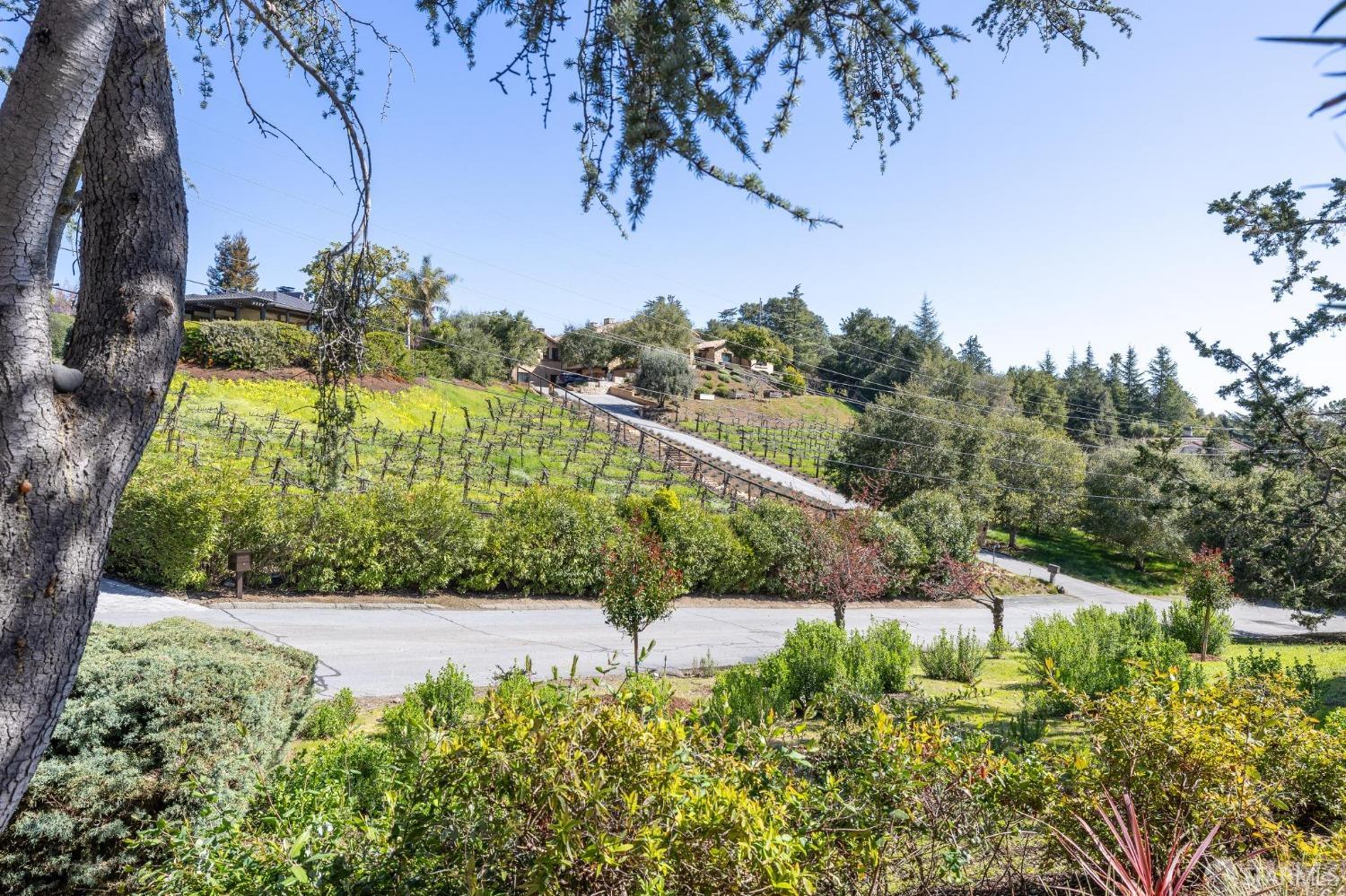 12769 Dianne Drive