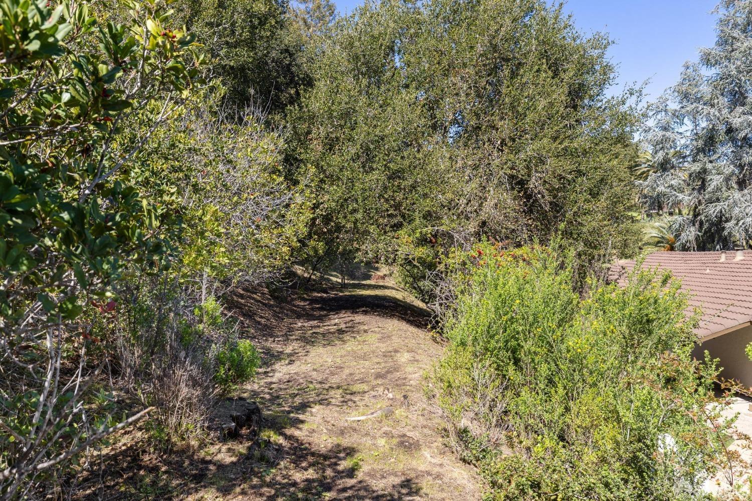 12769 Dianne Drive