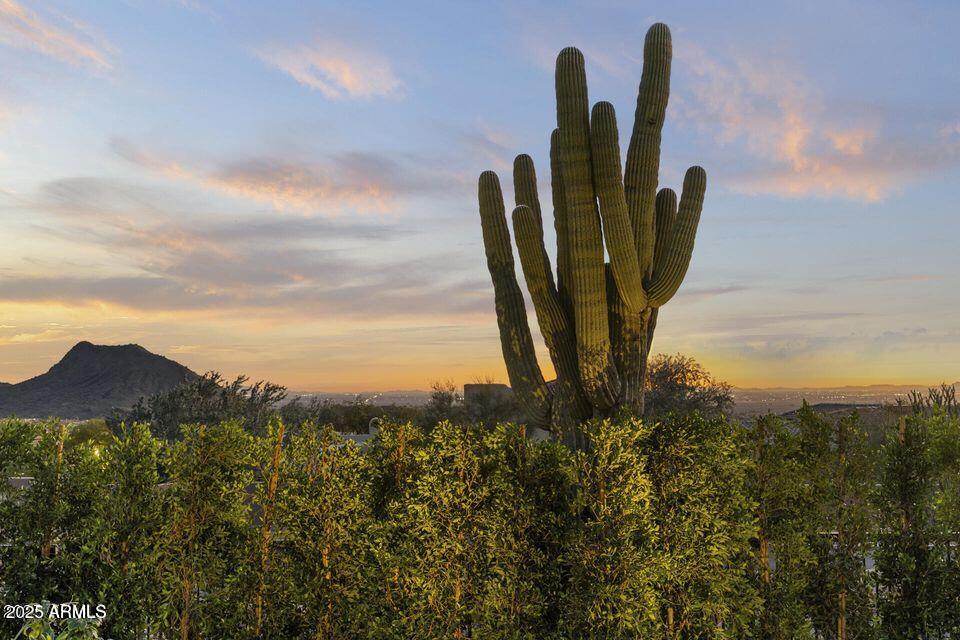 12657 N 135TH Street