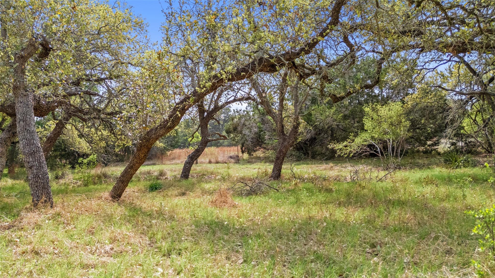 2910 La Ventana PKWY
