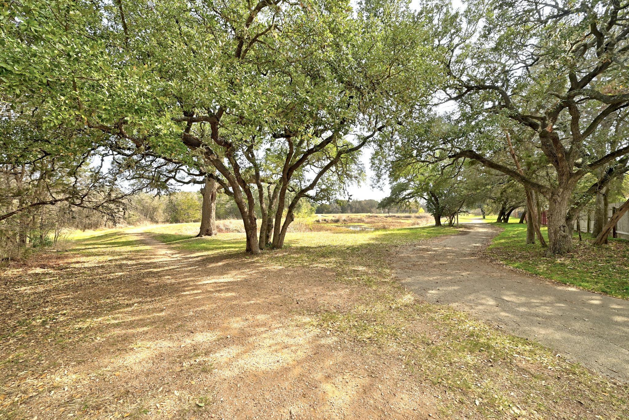 11362 Canterbury Tales LN