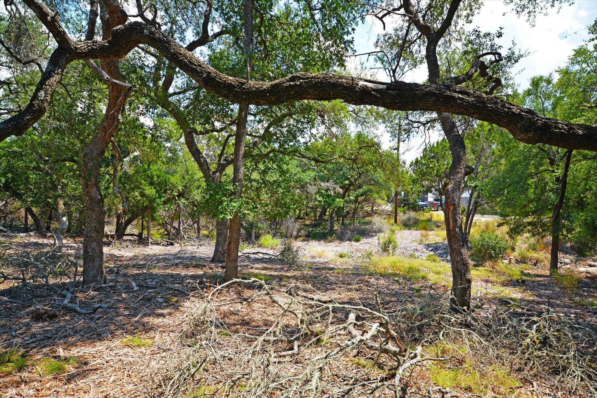 16 W EL CAMINO REAL DR