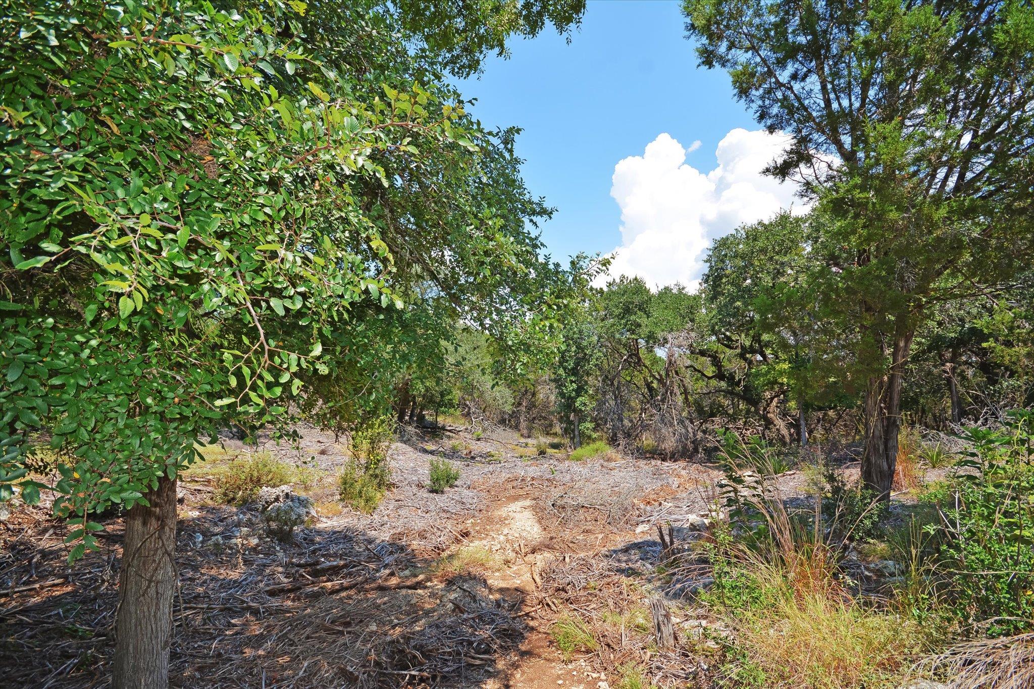 16 W EL CAMINO REAL DR