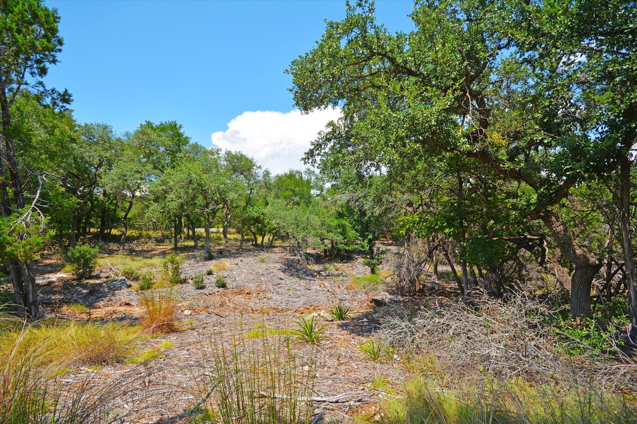 16 W EL CAMINO REAL DR