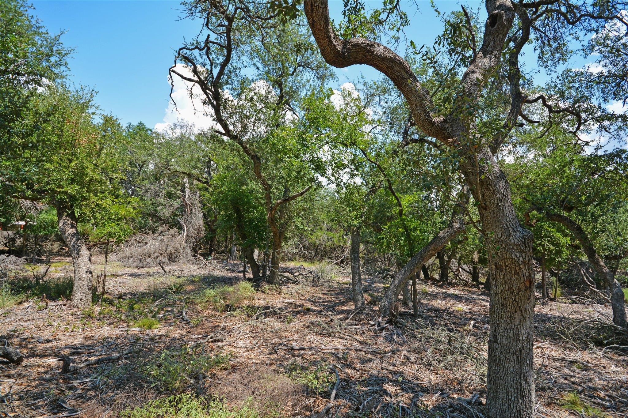 16 W EL CAMINO REAL DR