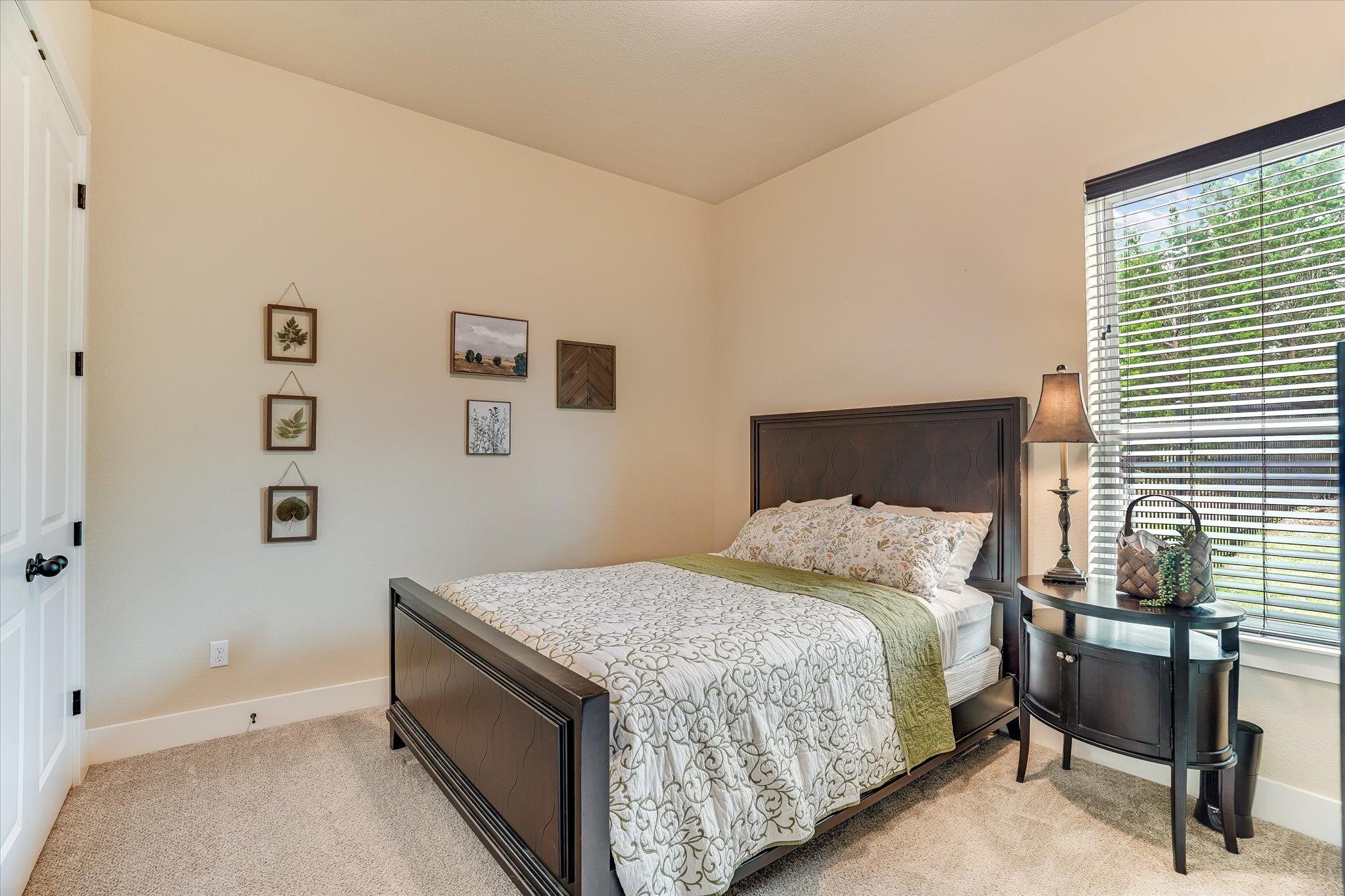245 Bristlecone DR