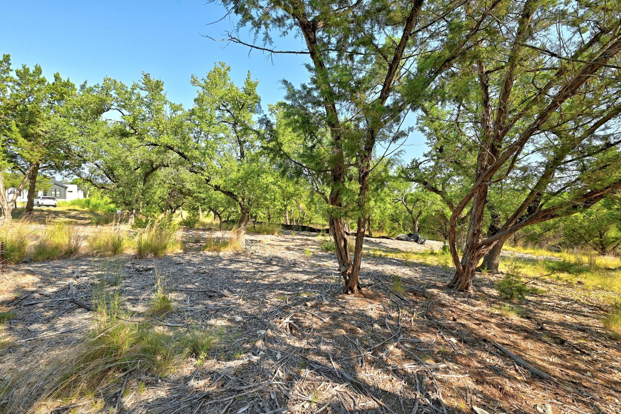 170 Night Wrangler LN