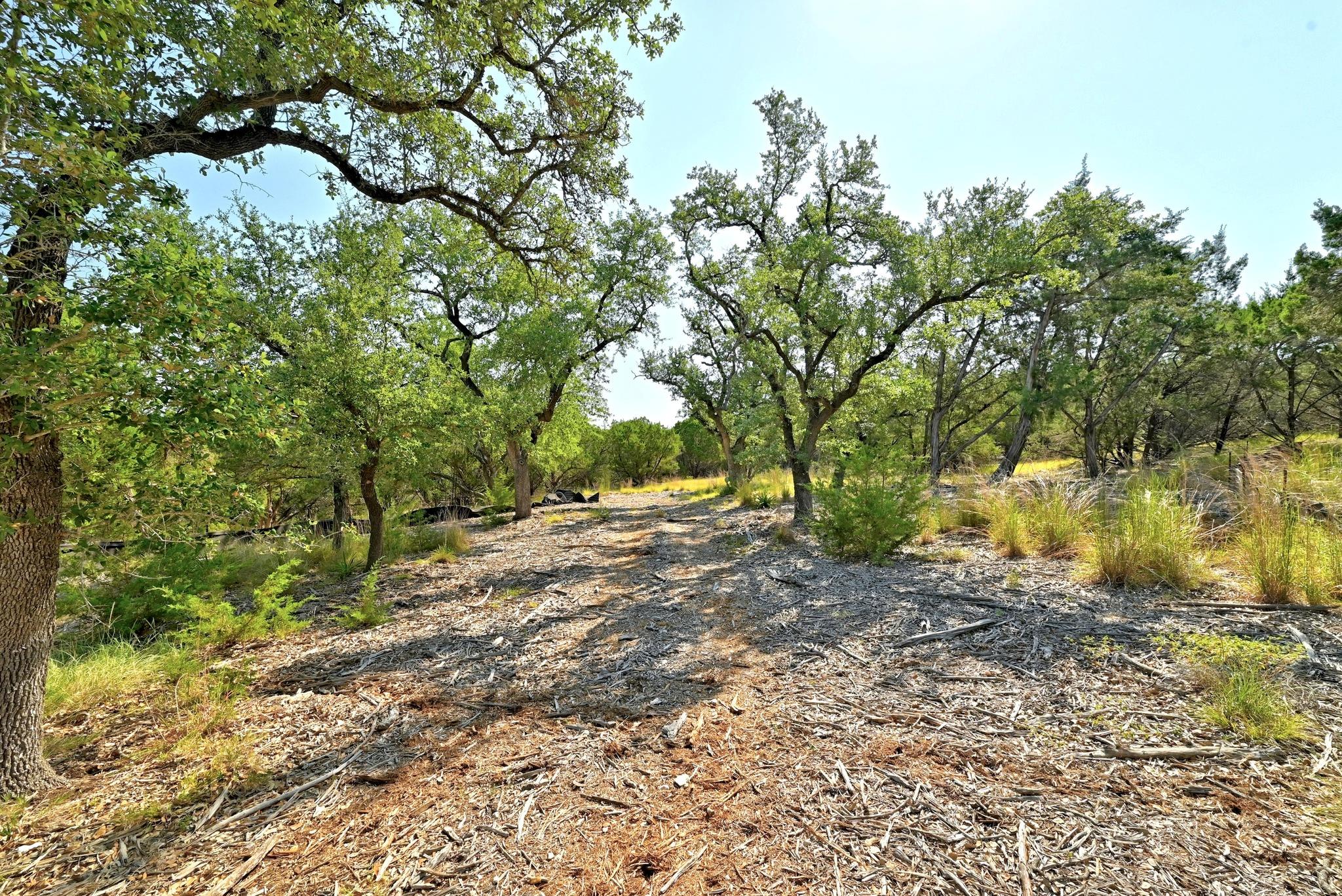 170 Night Wrangler LN