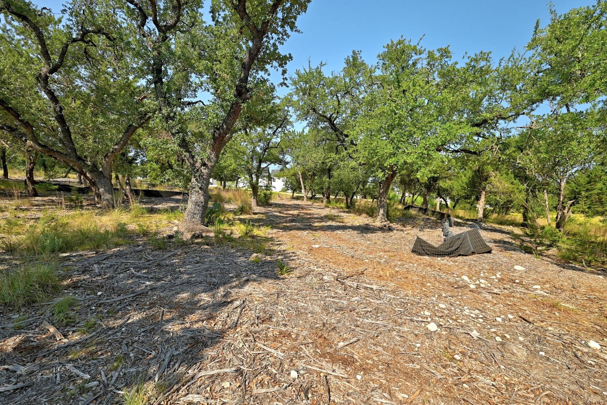 170 Night Wrangler LN