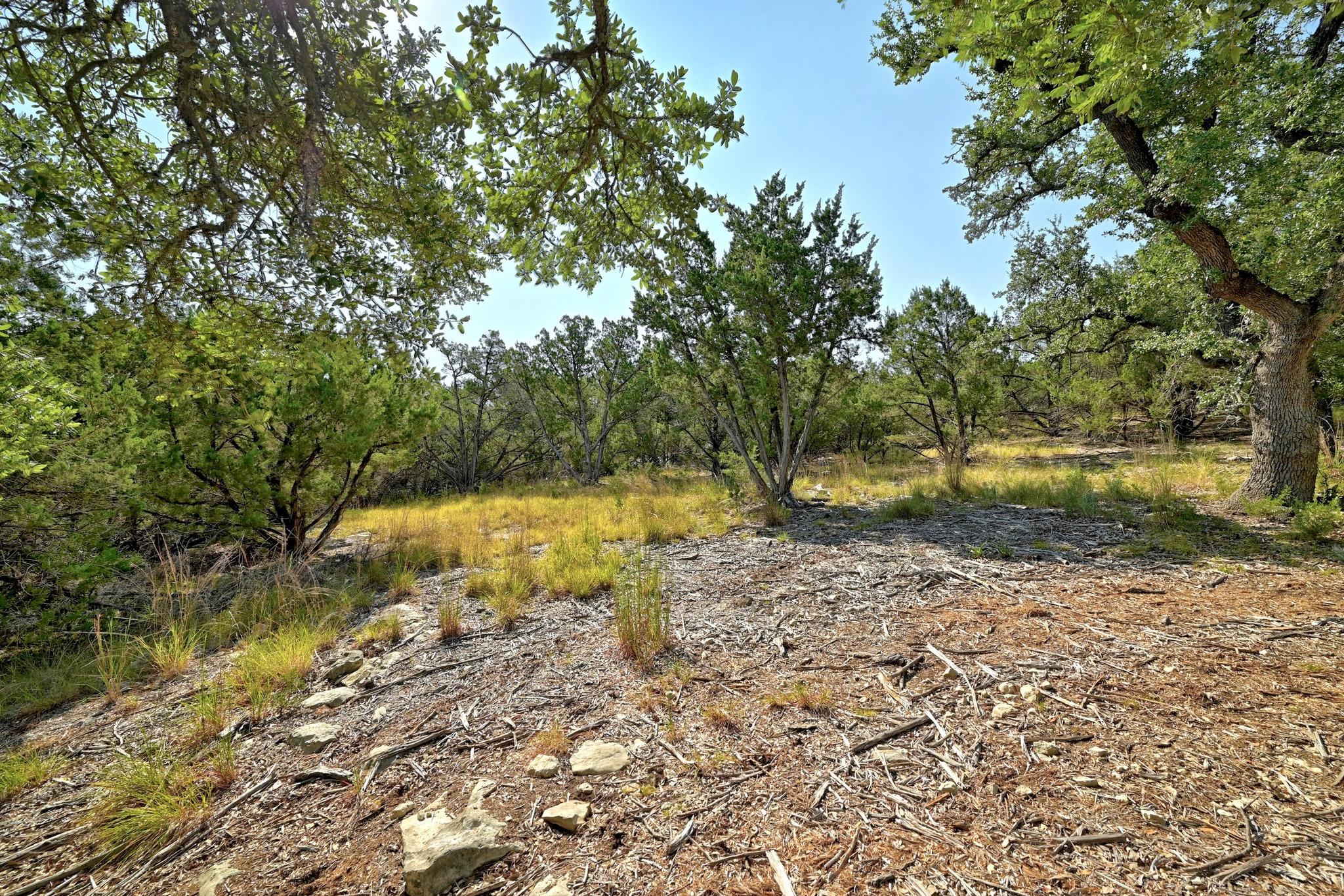 170 Night Wrangler LN