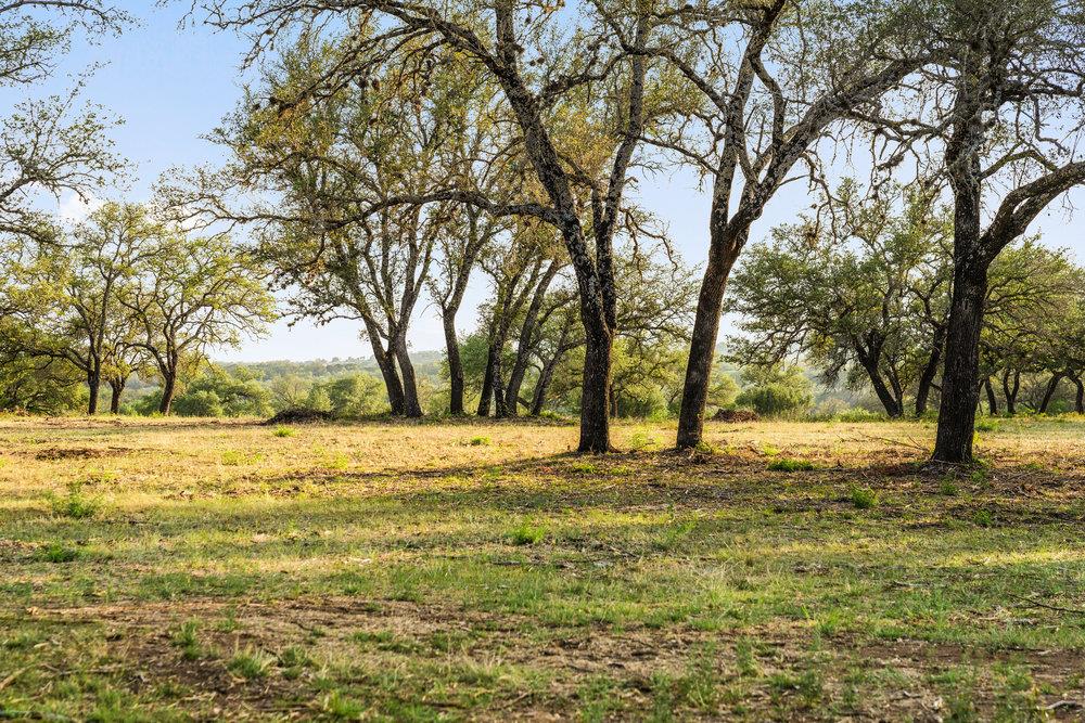 TBD Pedernales Canyon Trail