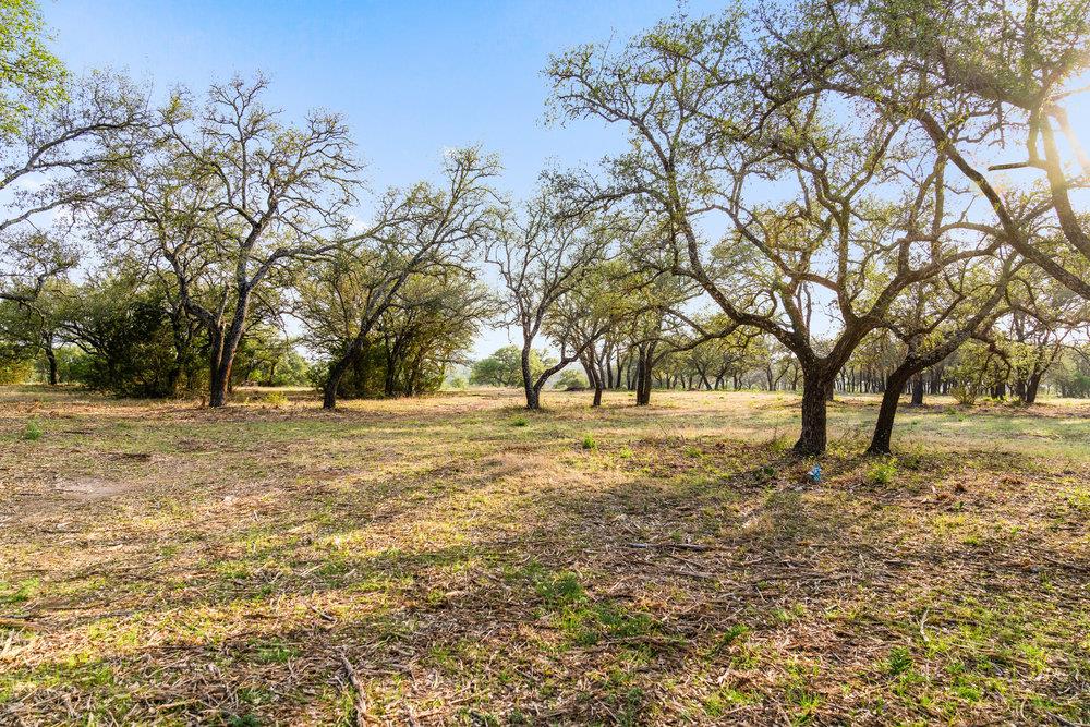 TBD Pedernales Canyon Trail