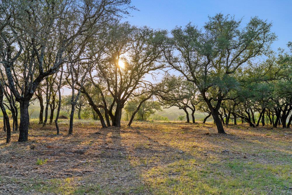 TBD Pedernales Canyon Trail