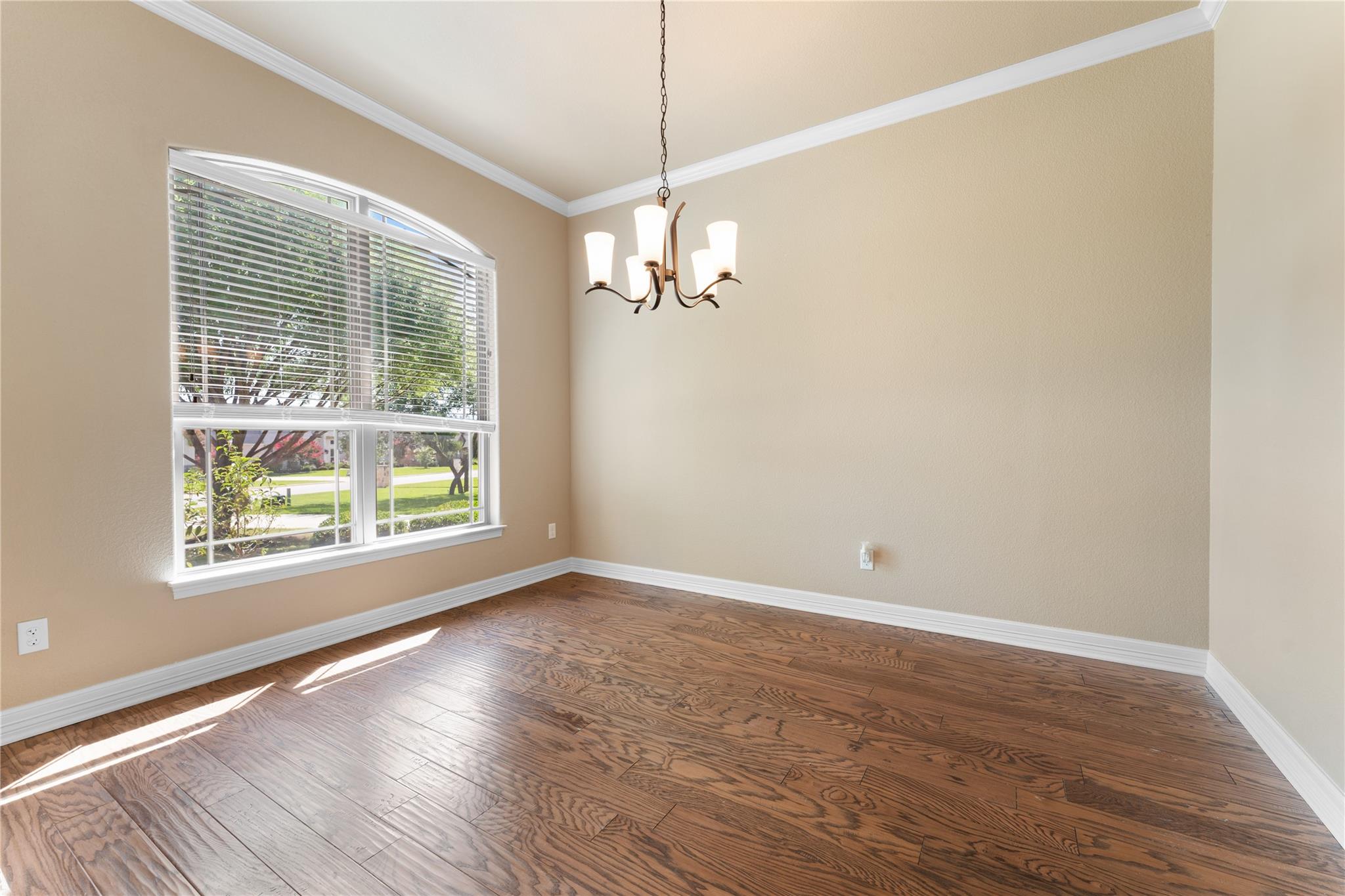 11717 Caleigh Anne DR