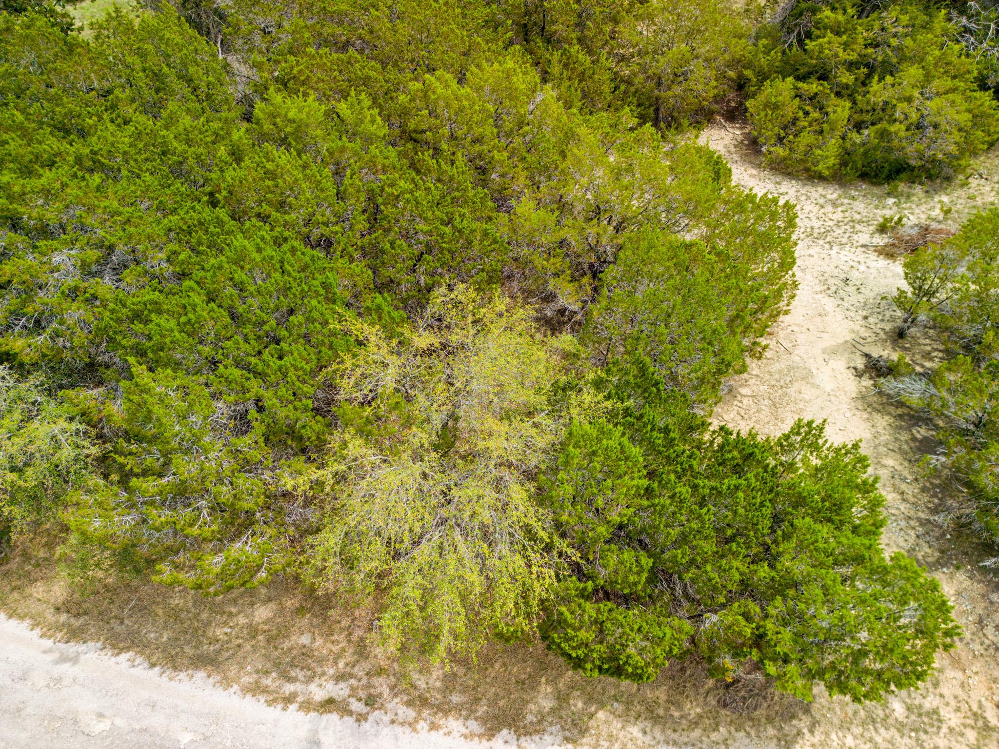 6711 Bar K Clubhouse CT