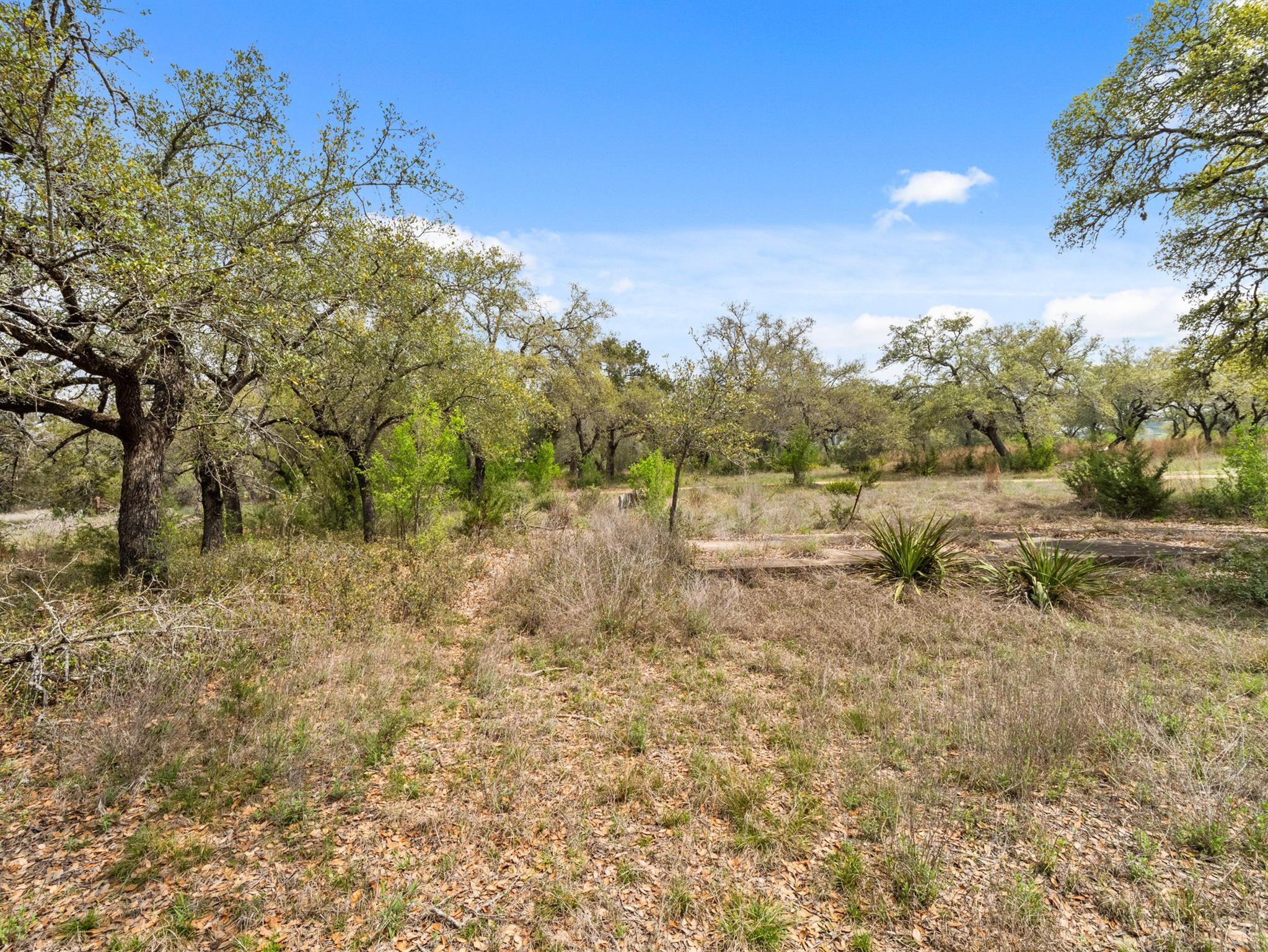 6711 Bar K Clubhouse CT