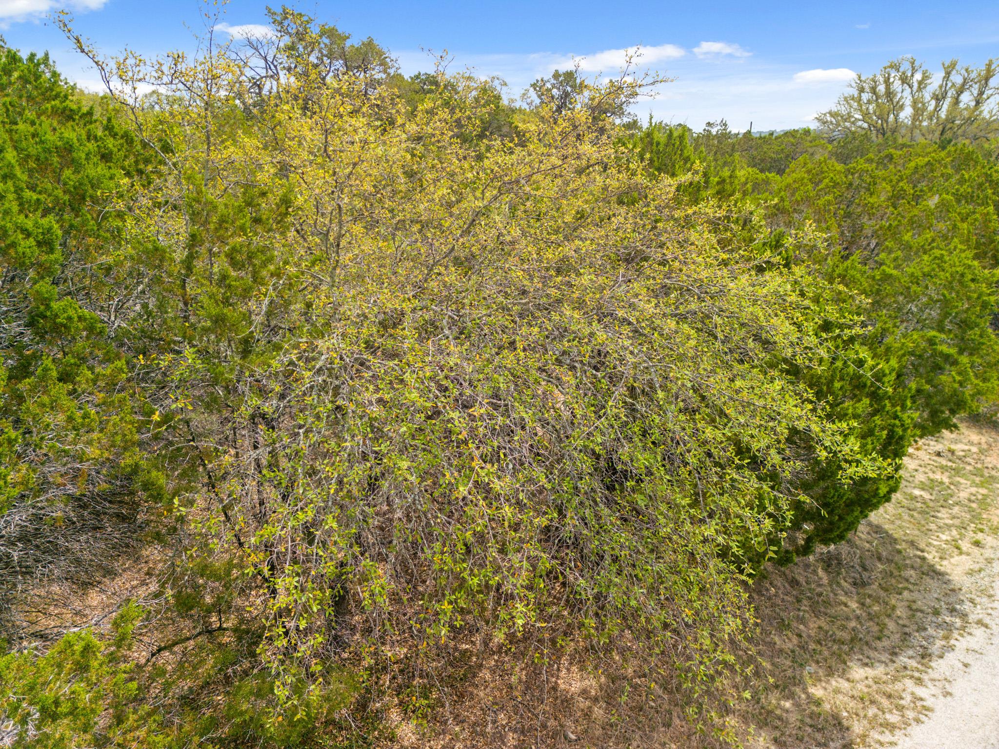 6711 Bar K Clubhouse CT