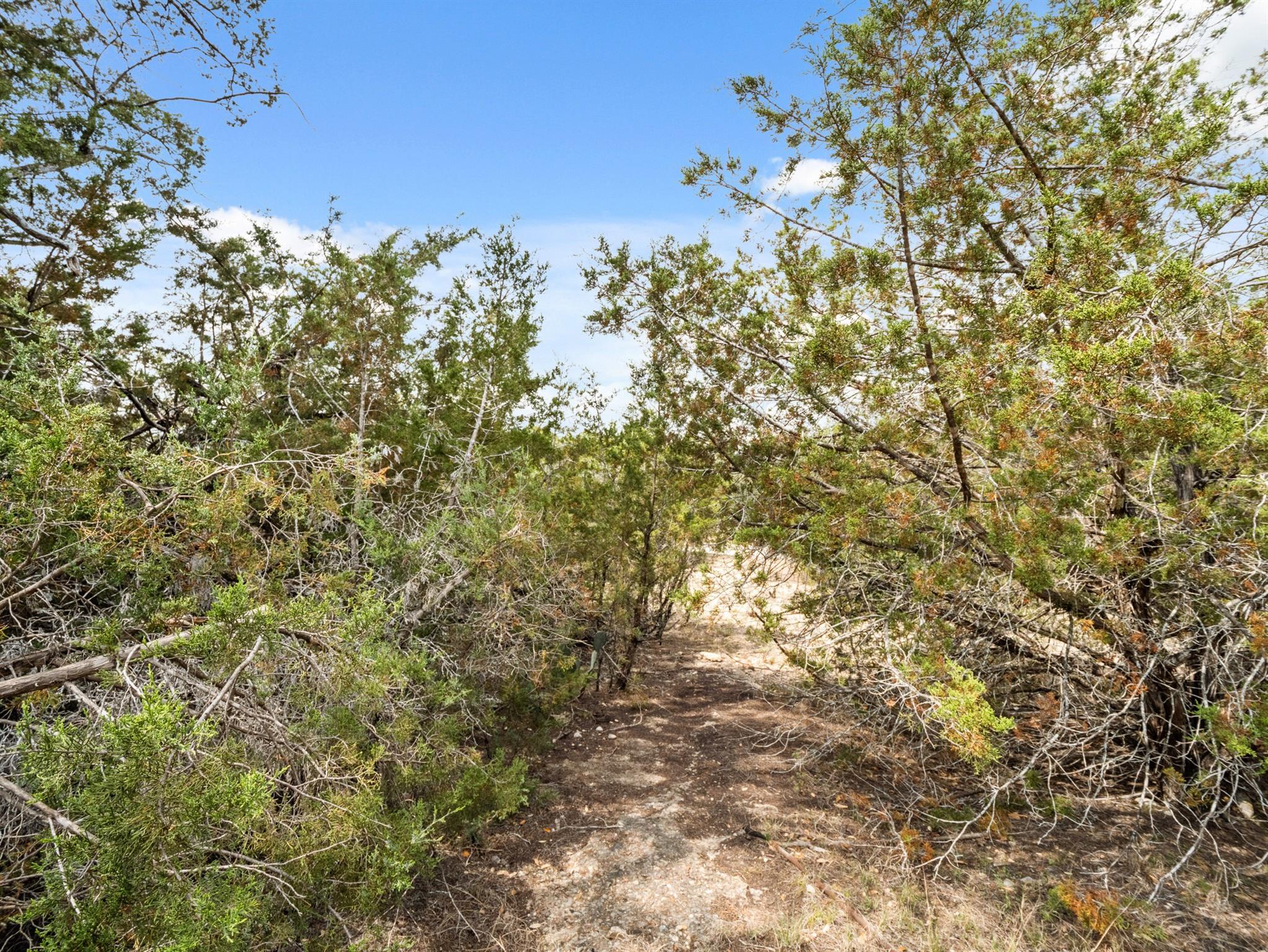 6711 Bar K Clubhouse CT