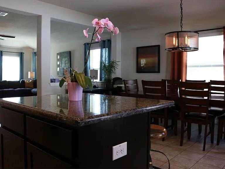 19109 Obed River DR
