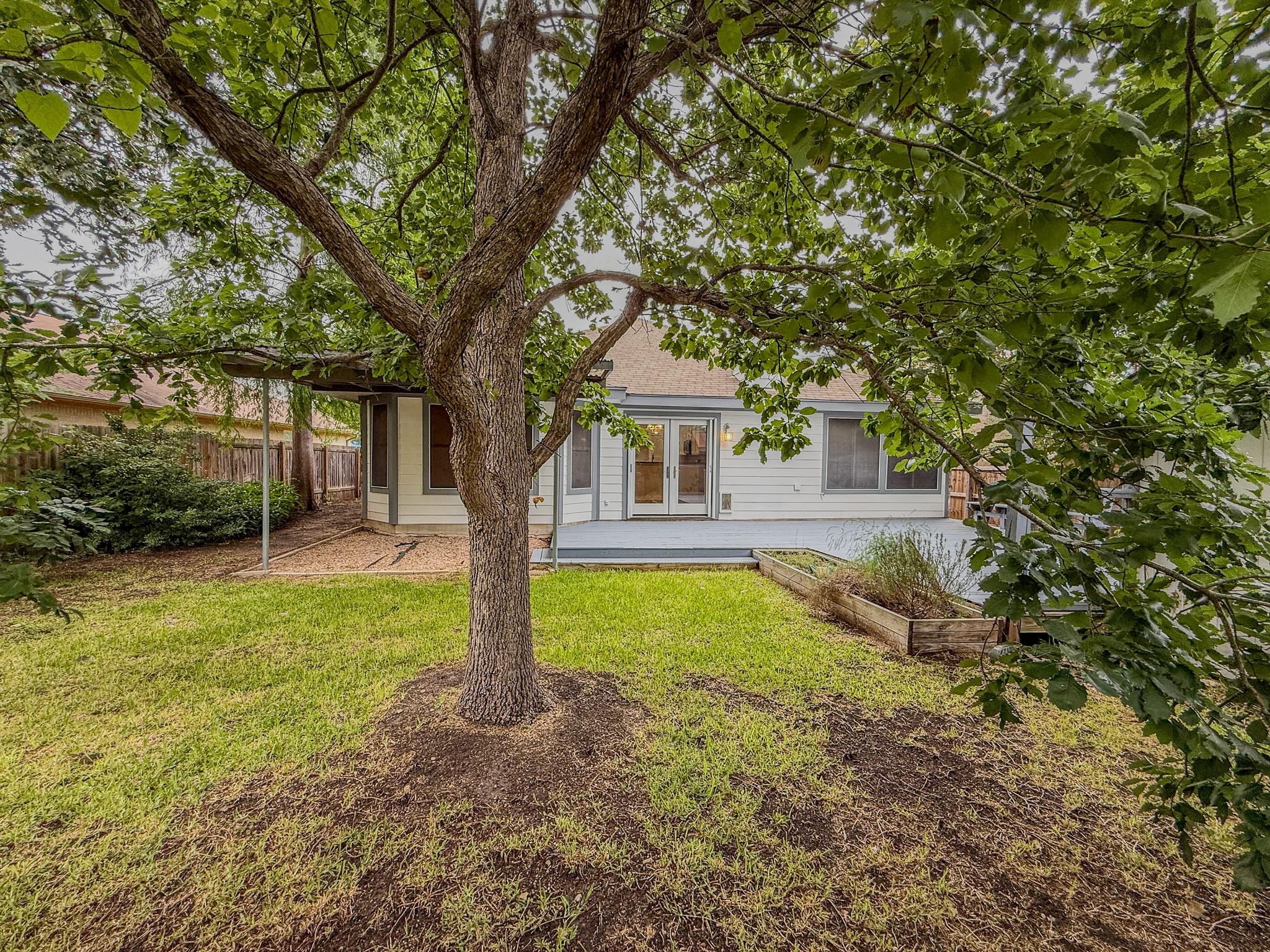 16908 Cactus Blossom DR