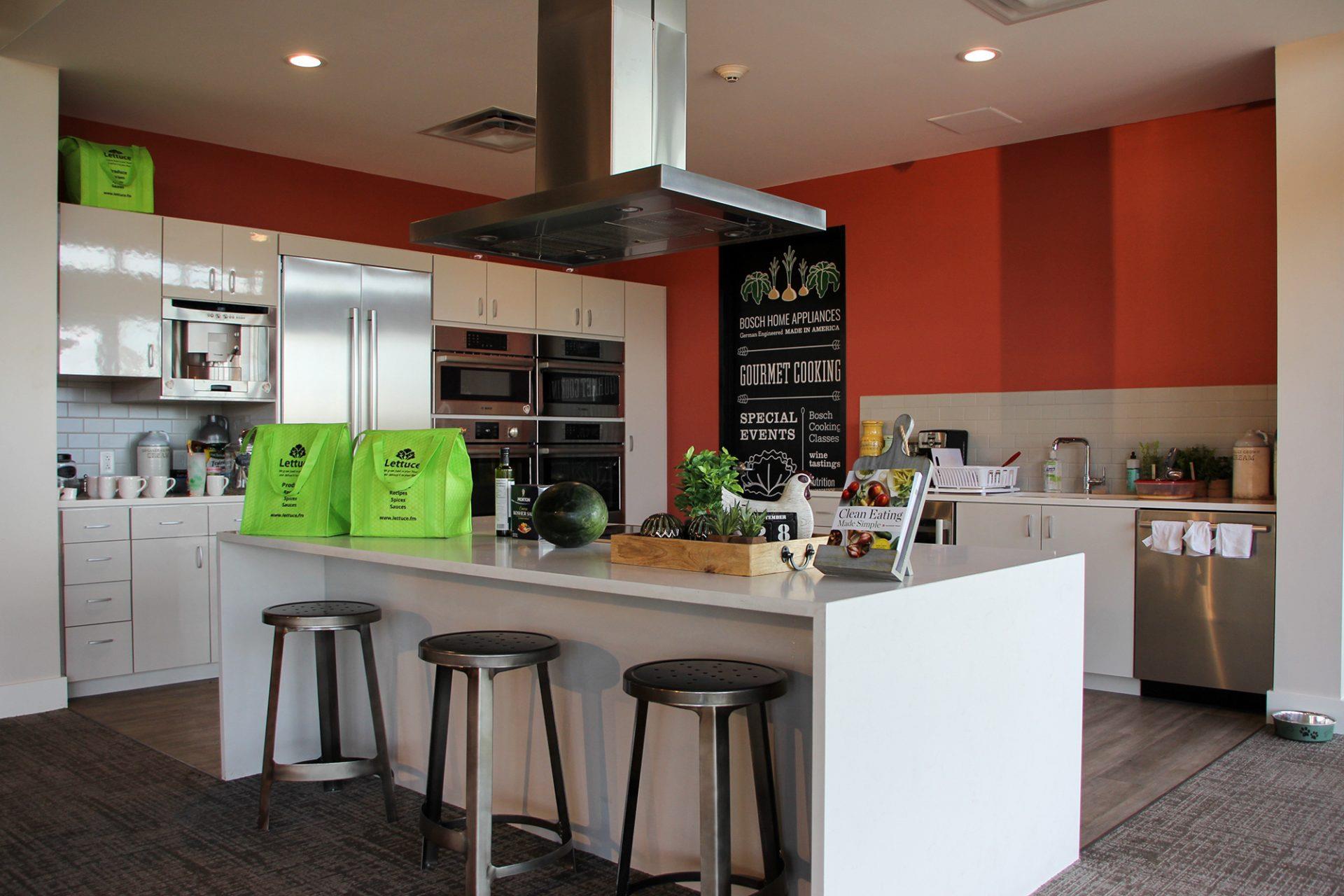 9809 Petrichor BLVD, Manor