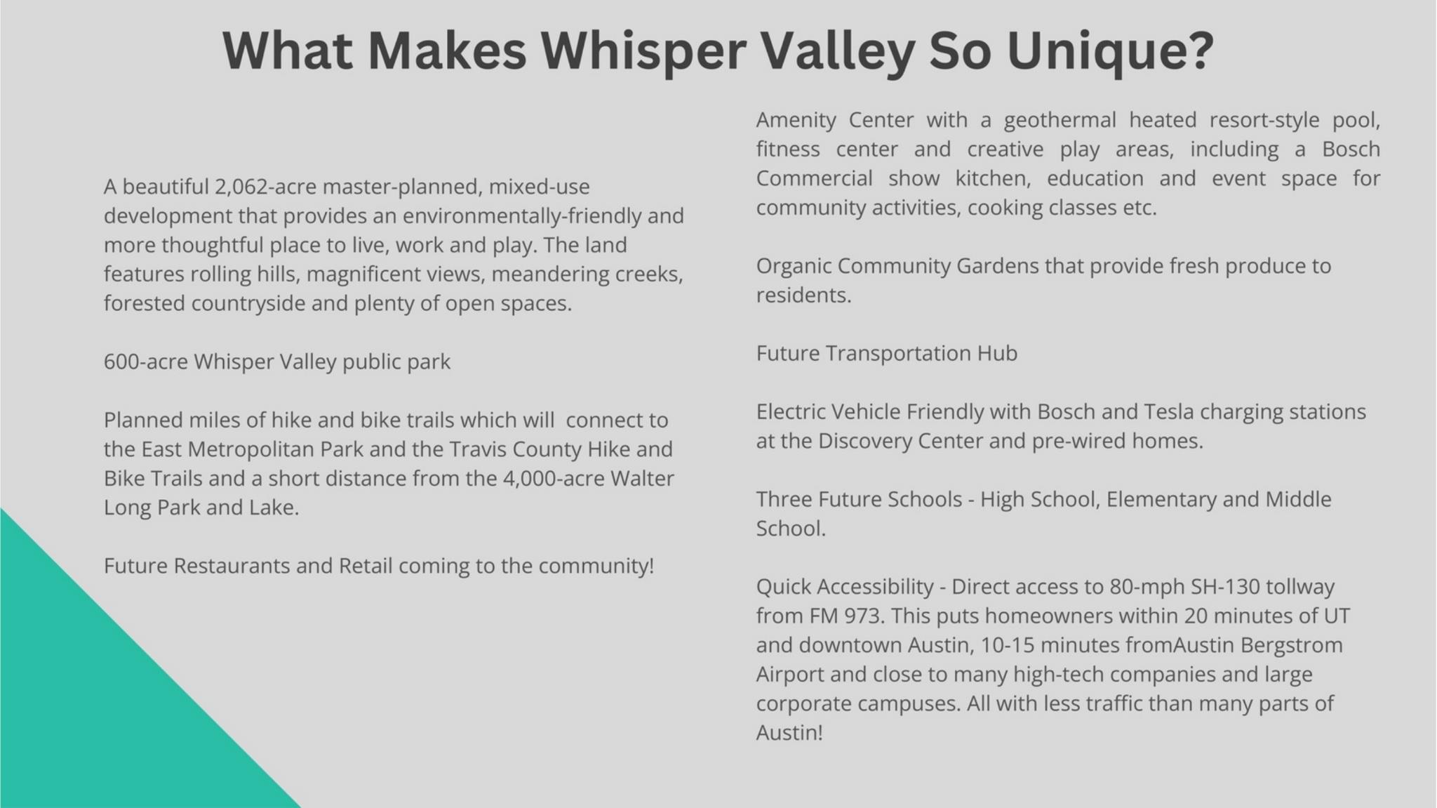 9809 Petrichor BLVD, Manor