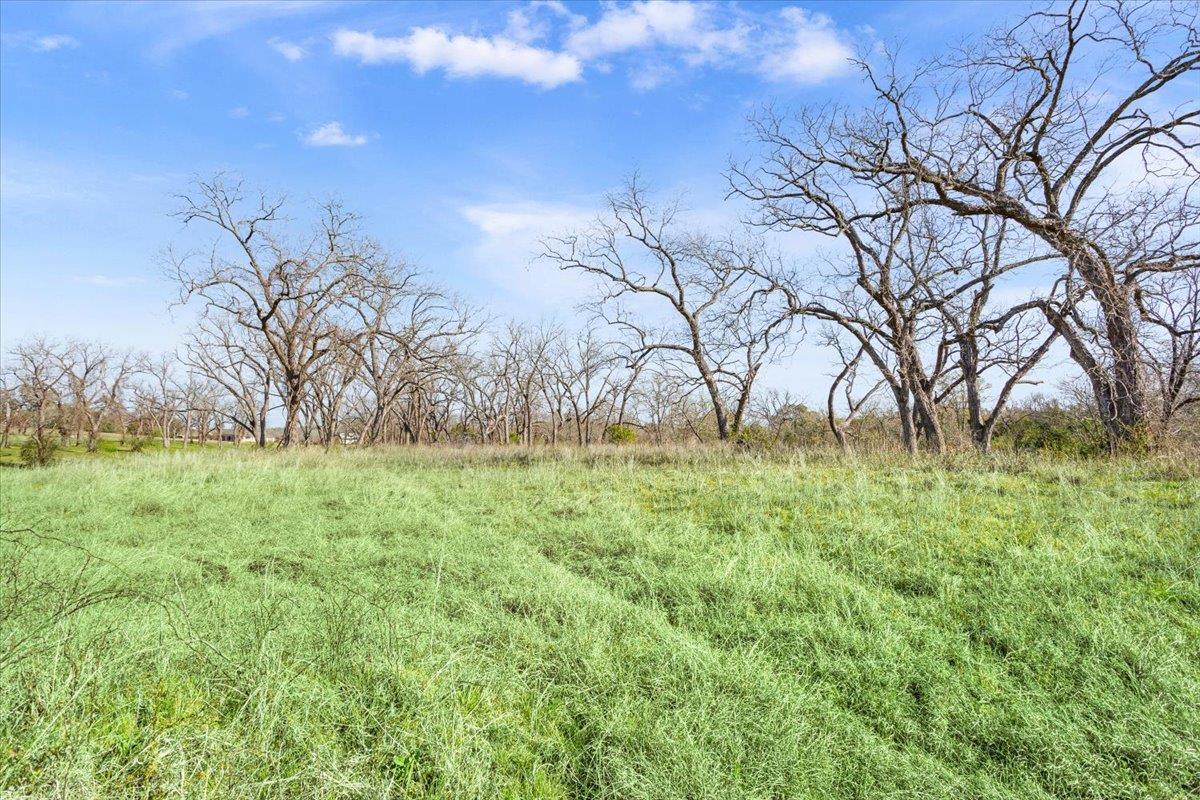 TBD Lot 4 Leon River