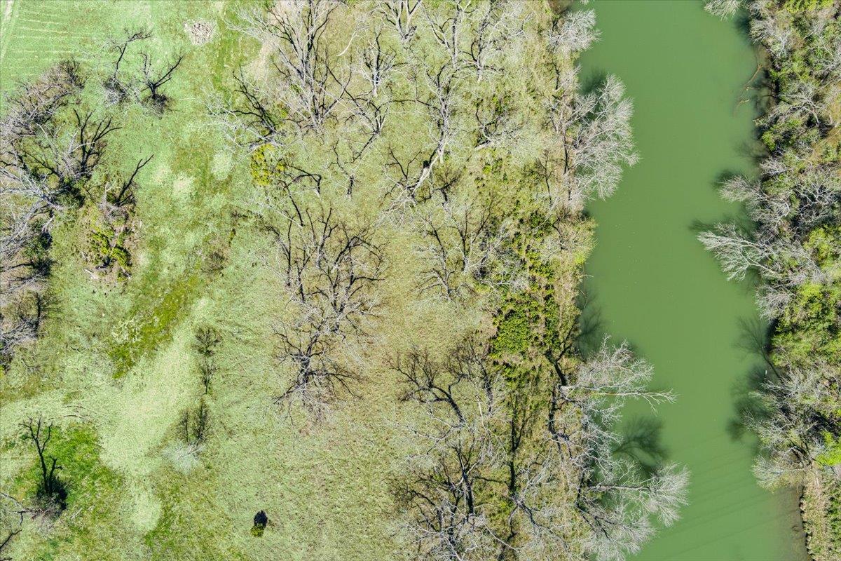 TBD Lot 4 Leon River