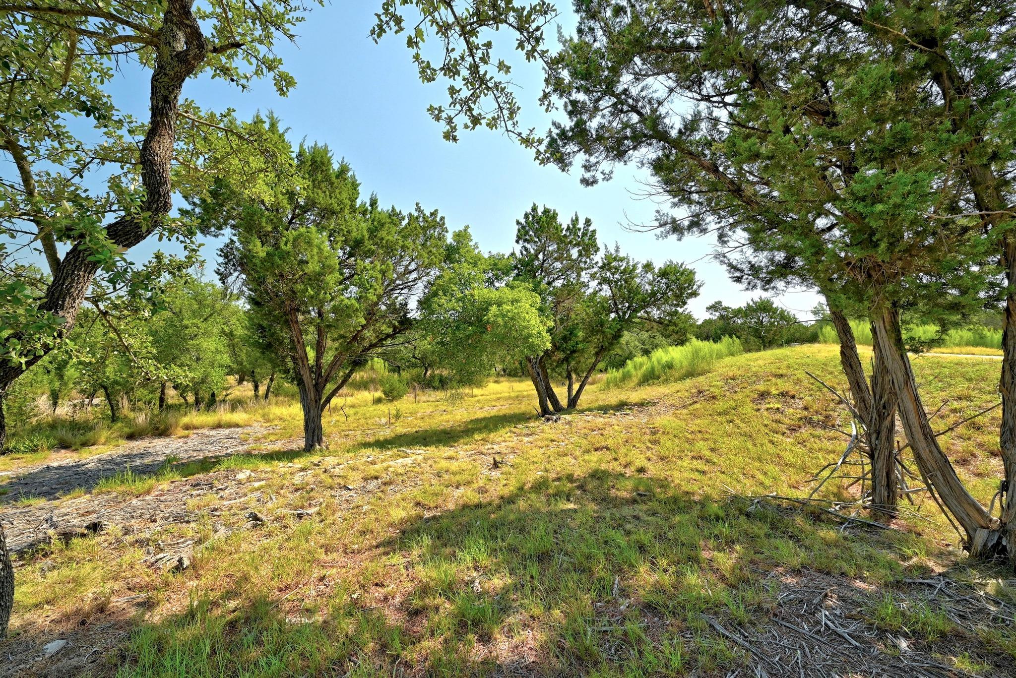 235 Campolina LN