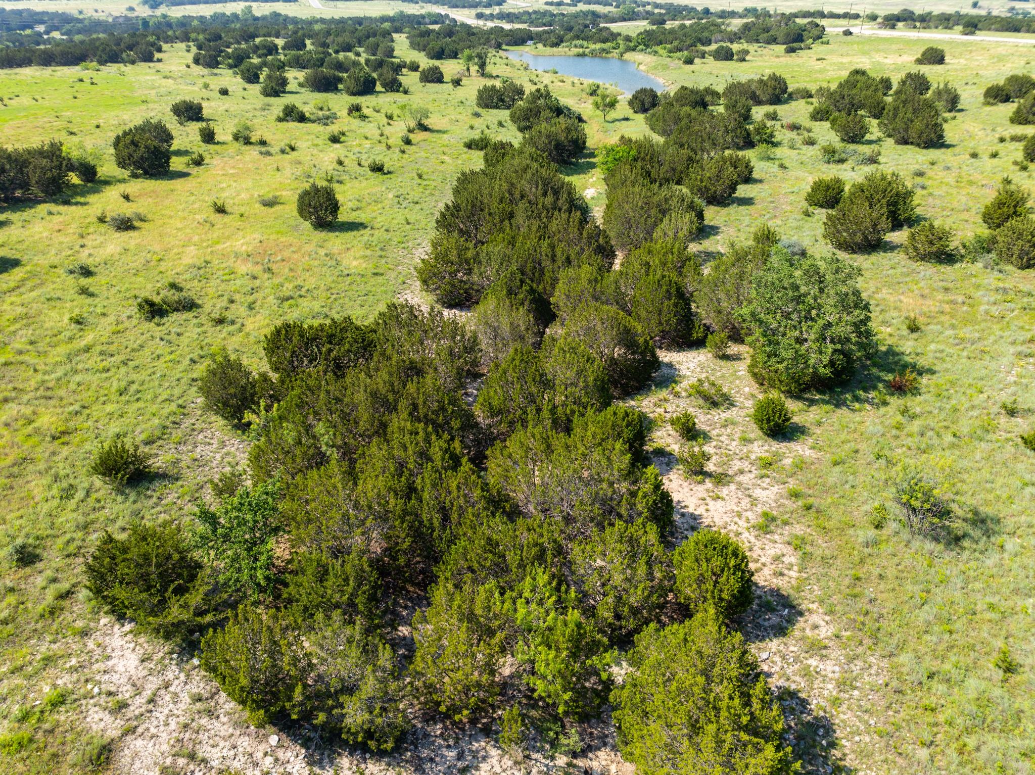 Lot 122 Shin Oak DR