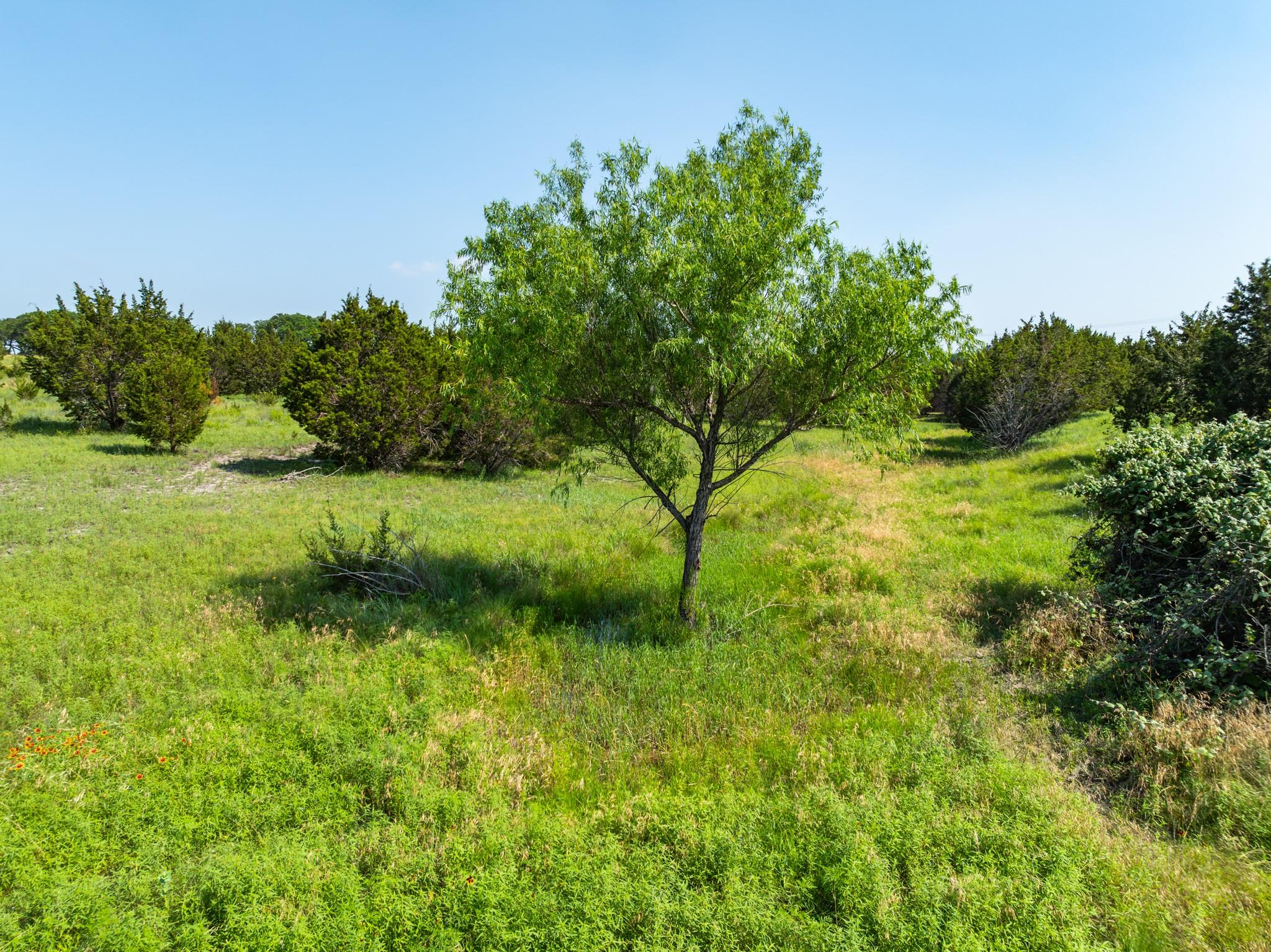 Lot 122 Shin Oak DR