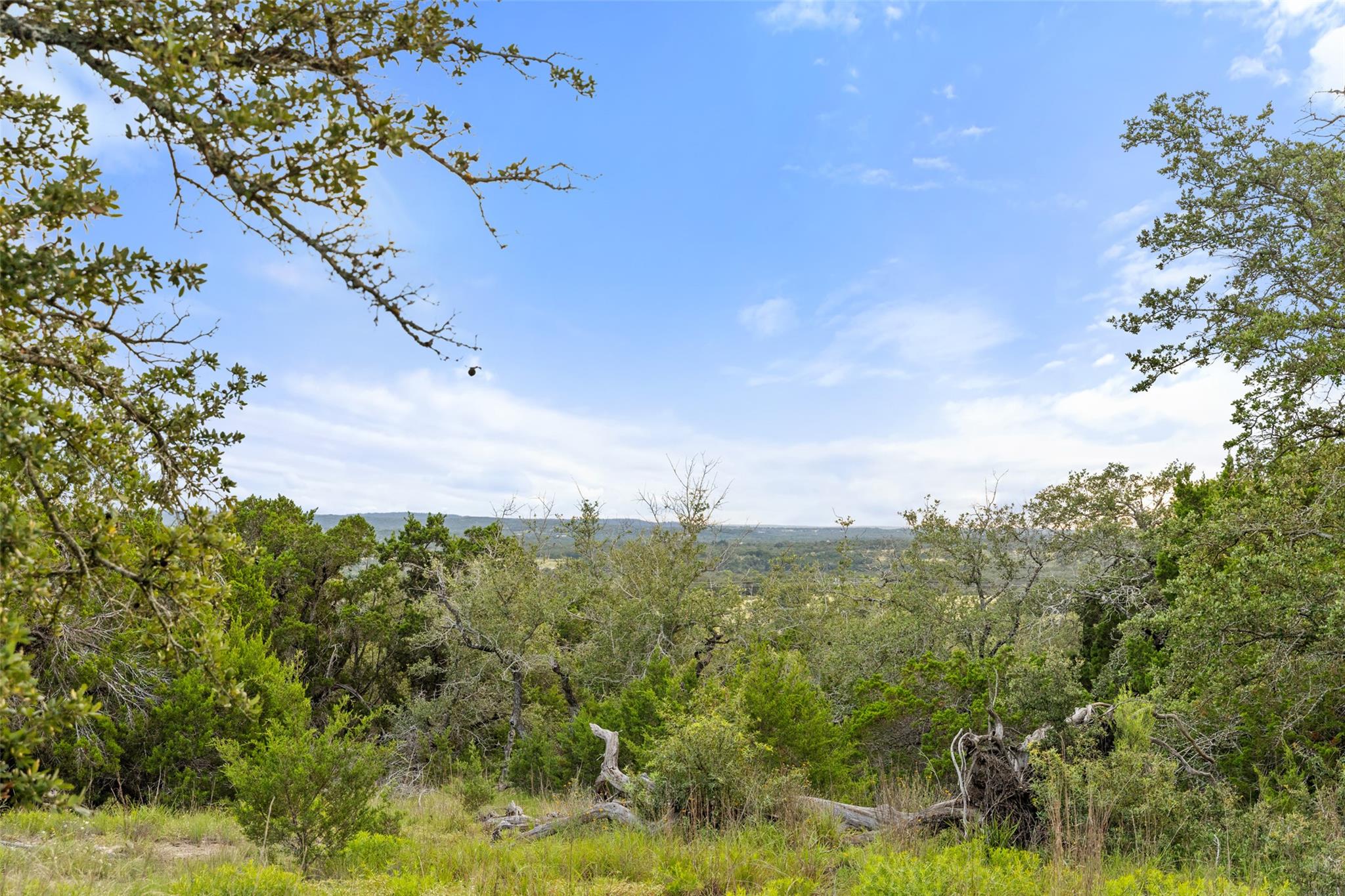 31860 Mirela Ann RD