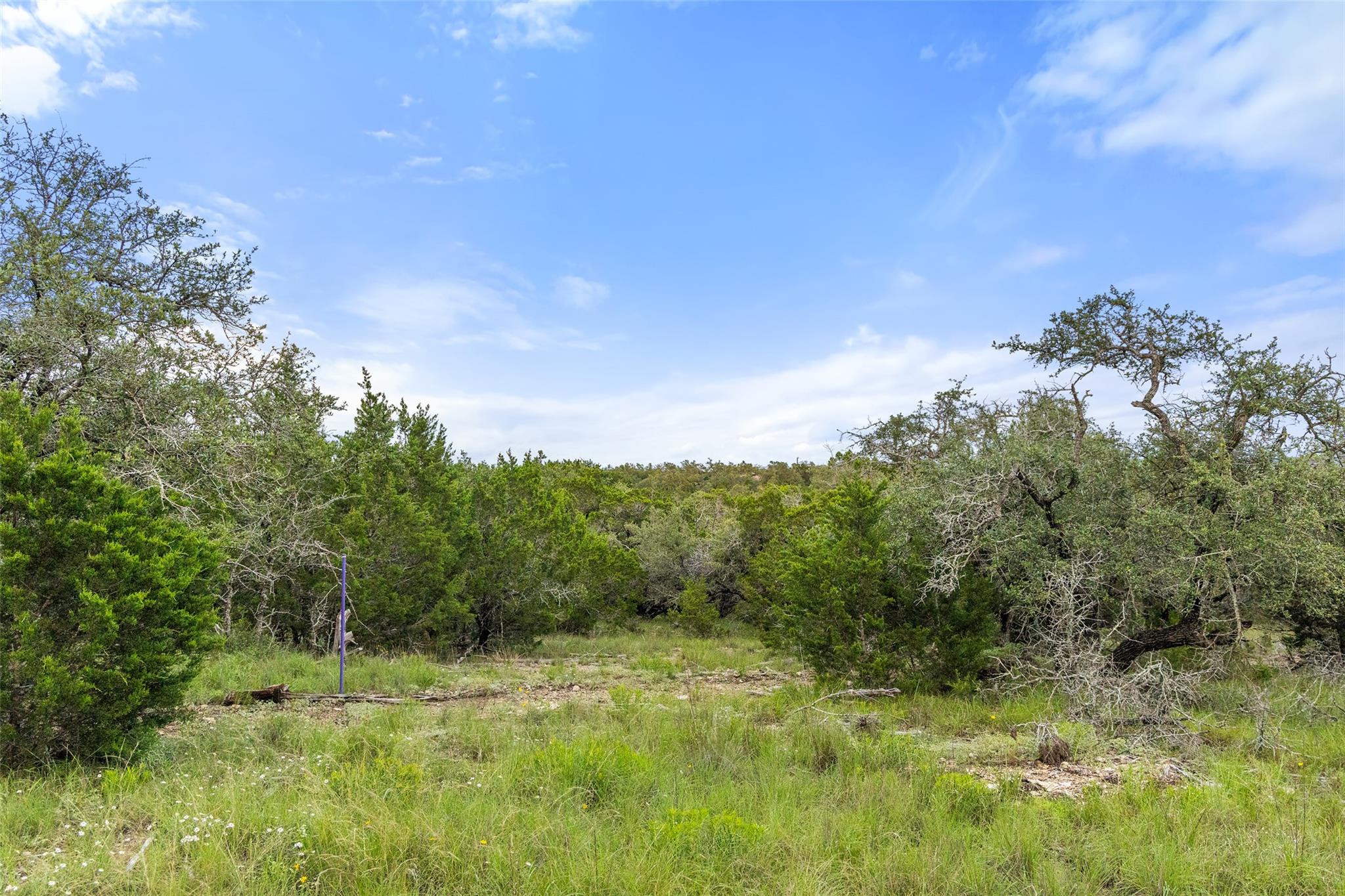 31860 Mirela Ann RD